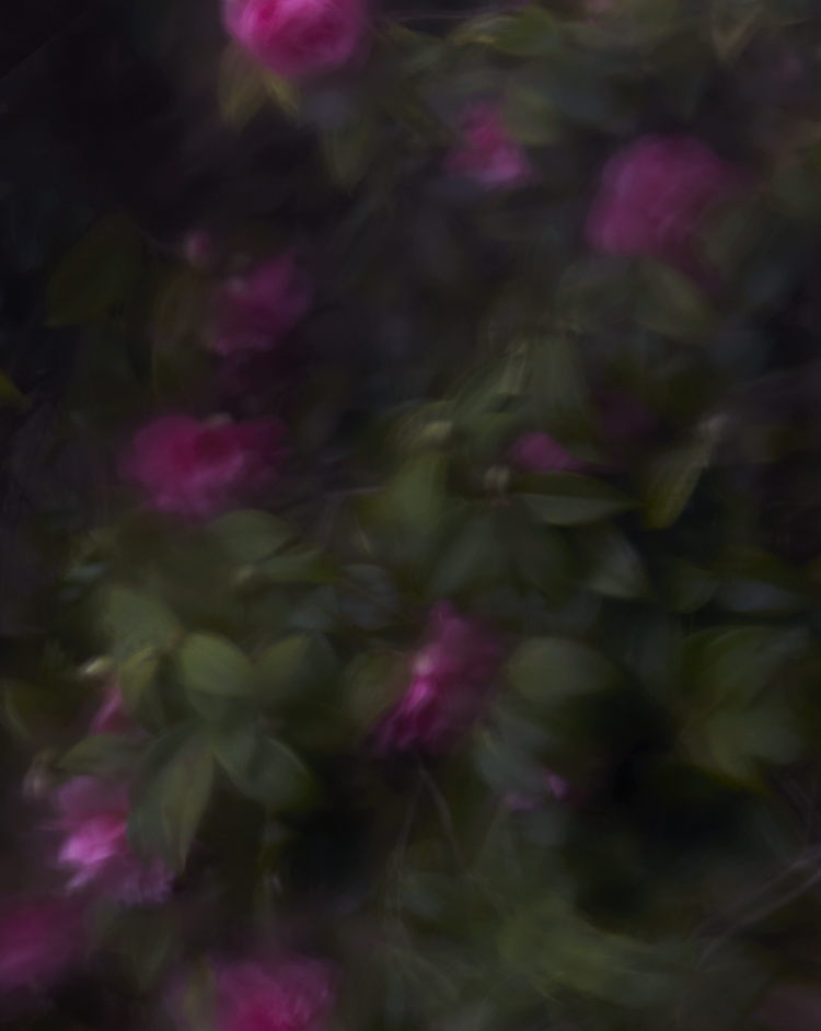 Screenshot+2026-03-12+at+17.18.26.png.webp