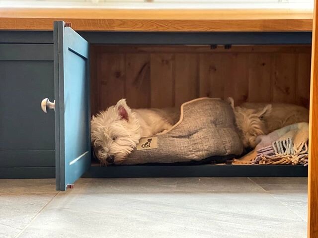 Bespoke cabinets are our specialty, we even look after your pets! 🐶🐾
.
.
#handmadekitchen #bespokekitchen #bespokefurniture #cabinetmaker #cabinets #cupboards #handpainted #oakcountertop #dogsofinstagram #dog #terriersofinstagram