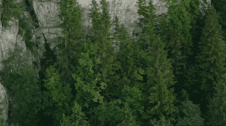 EDELRID - FREE MOVEMENT-high (1).gif