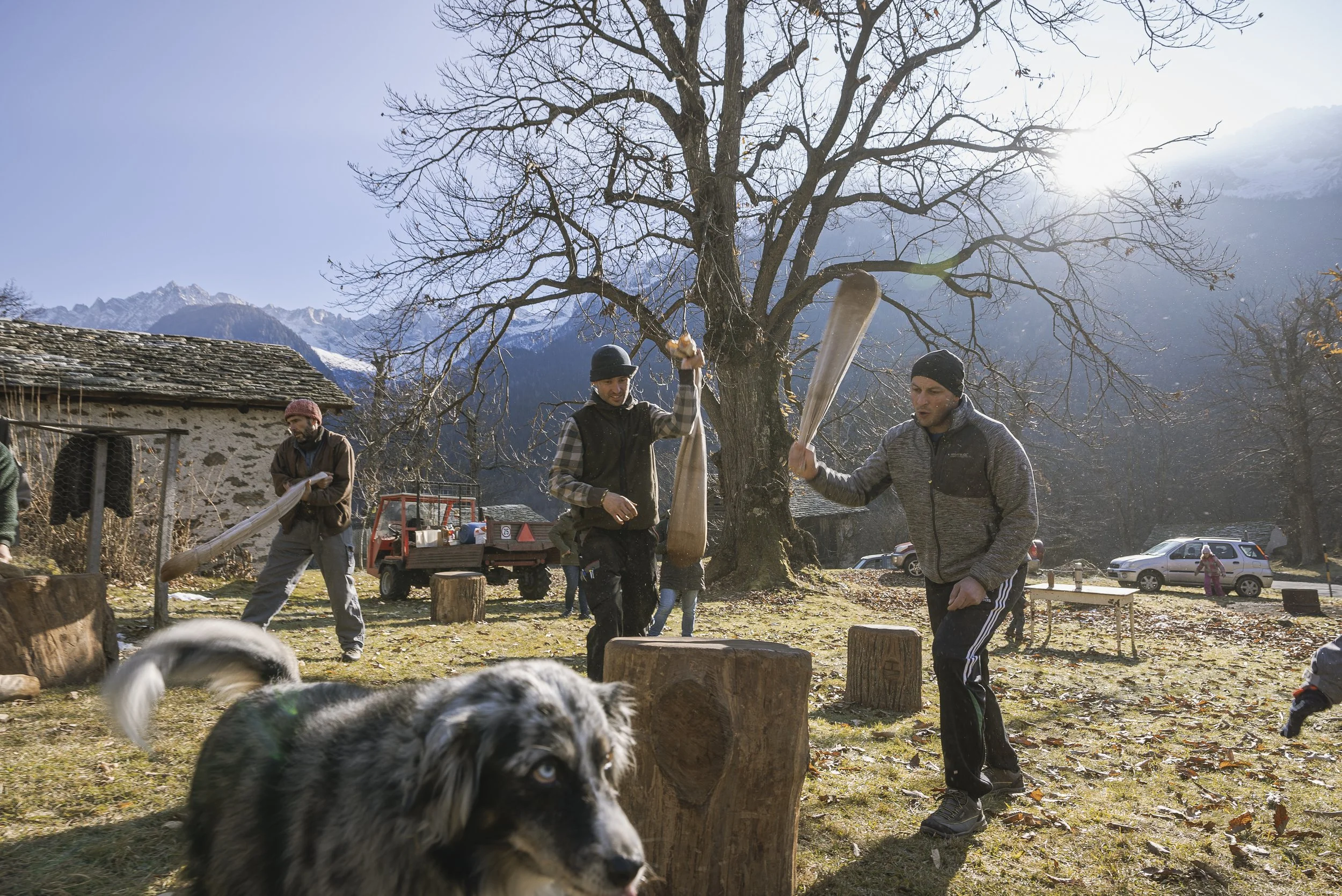 Swiss Life 2024-2025