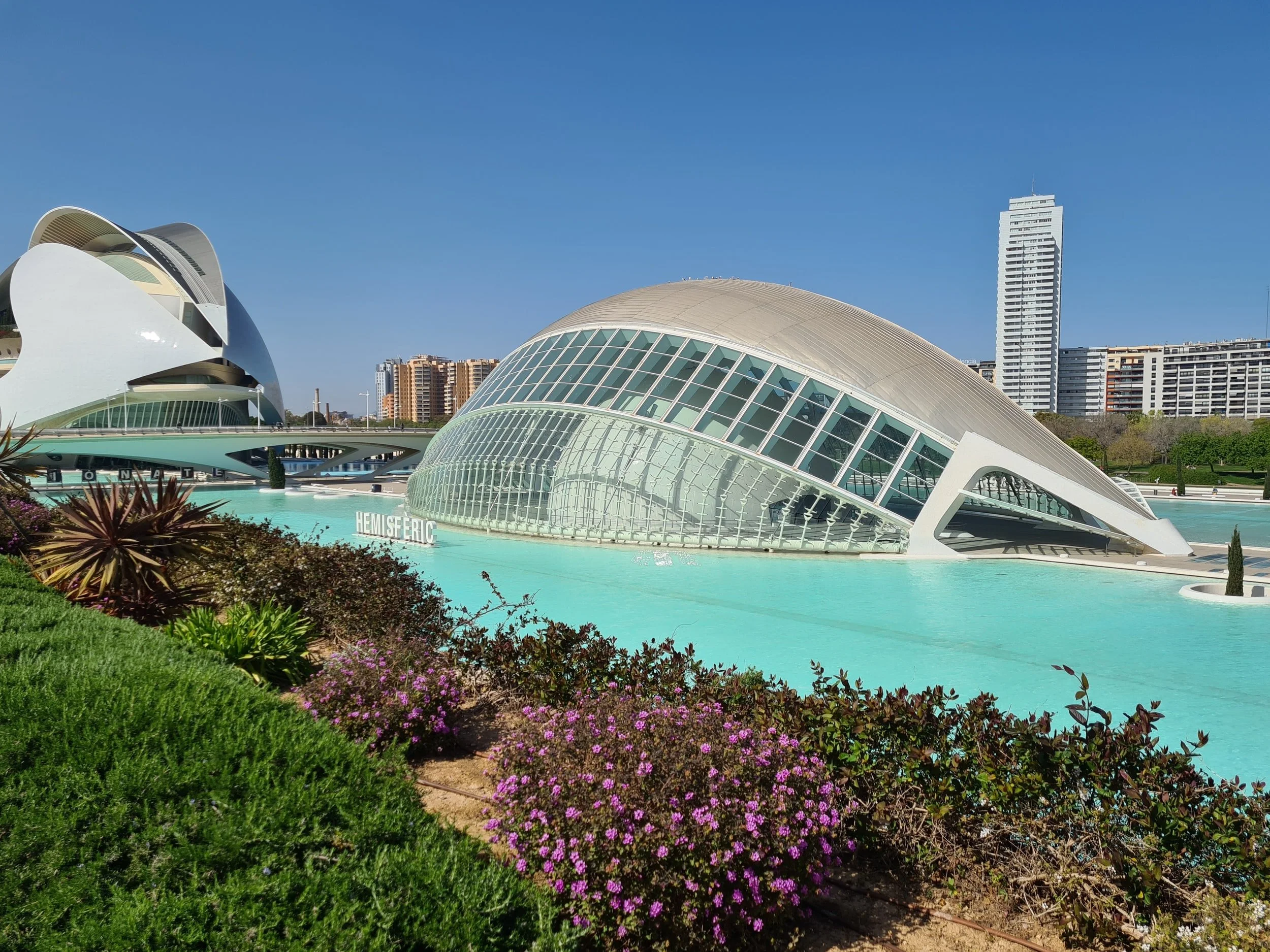 Get Involved with Valencia's Digital Nomad Community & Culture