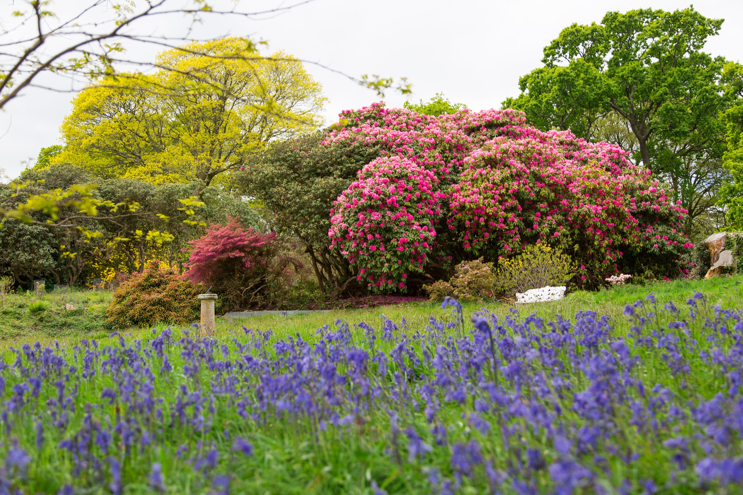16_eThe Historic American Gardens at Pentillie Castle by Charlotte Dart Photography.jpg