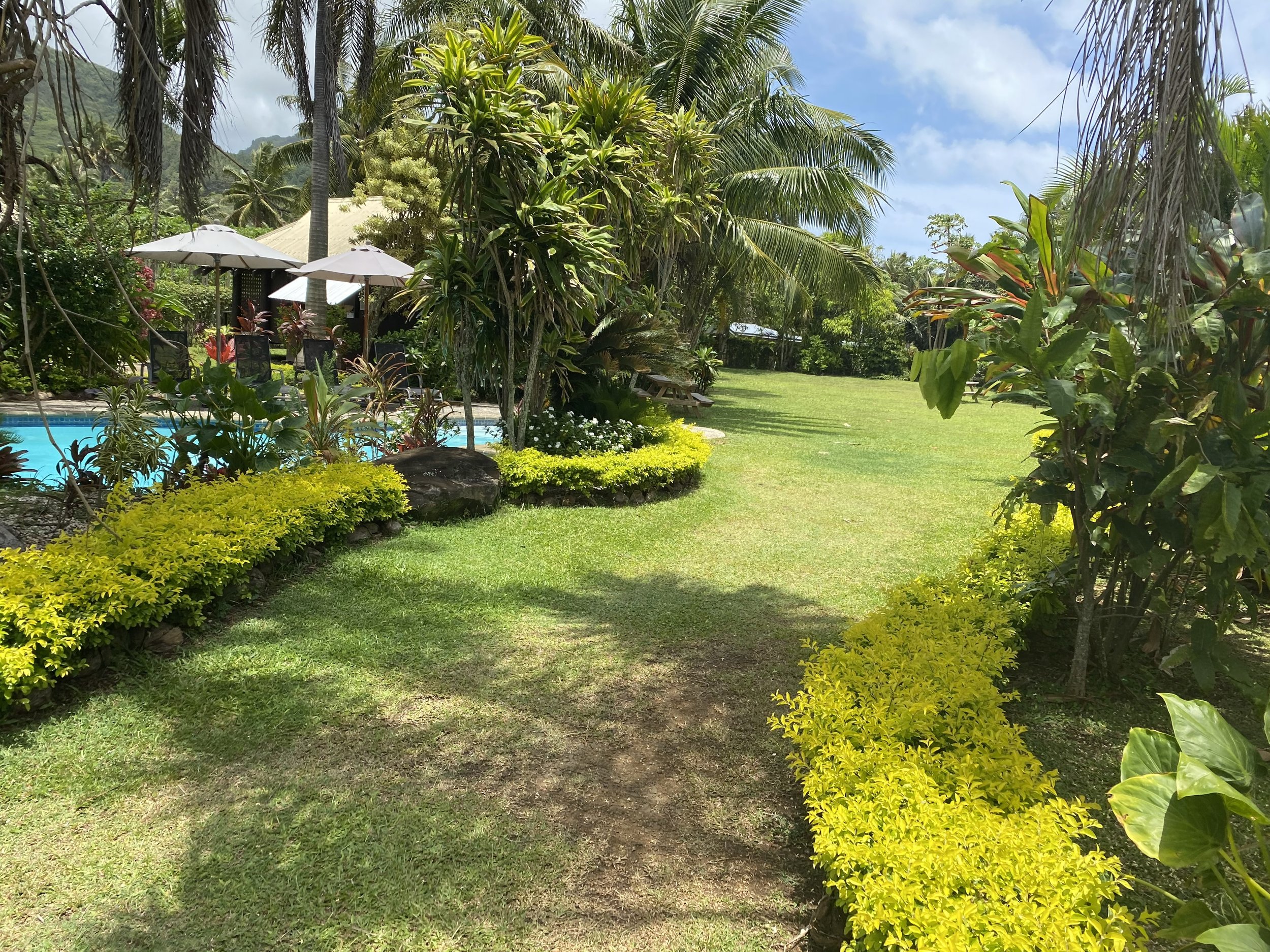 8. Tropical Garden Setting.jpeg
