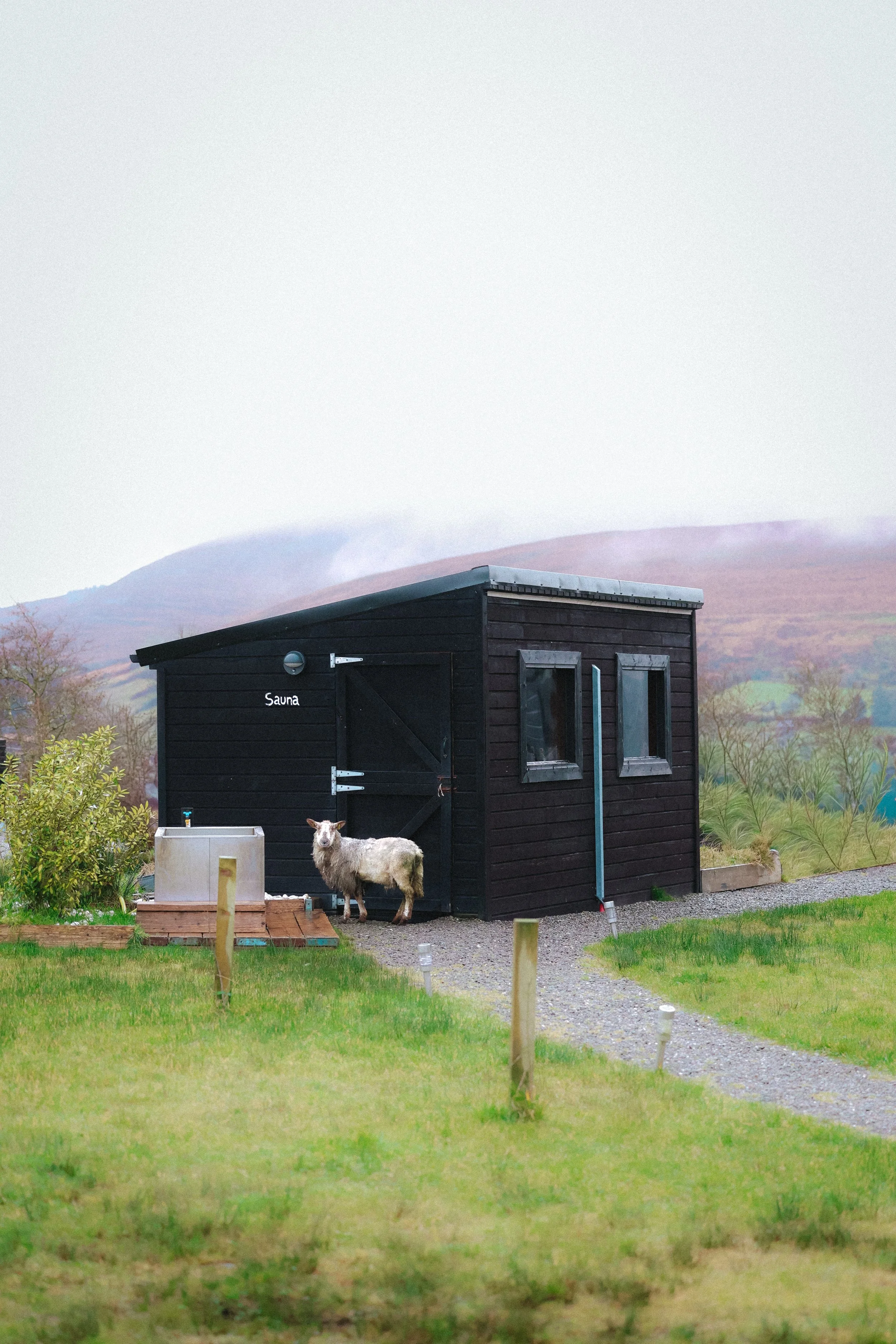 Copy of 2X5A0486.jpg