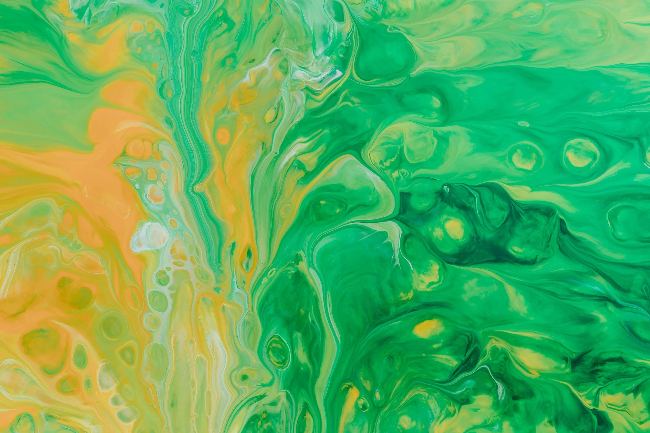 unsplash-image-ki9IMshQZ4Q.jpg