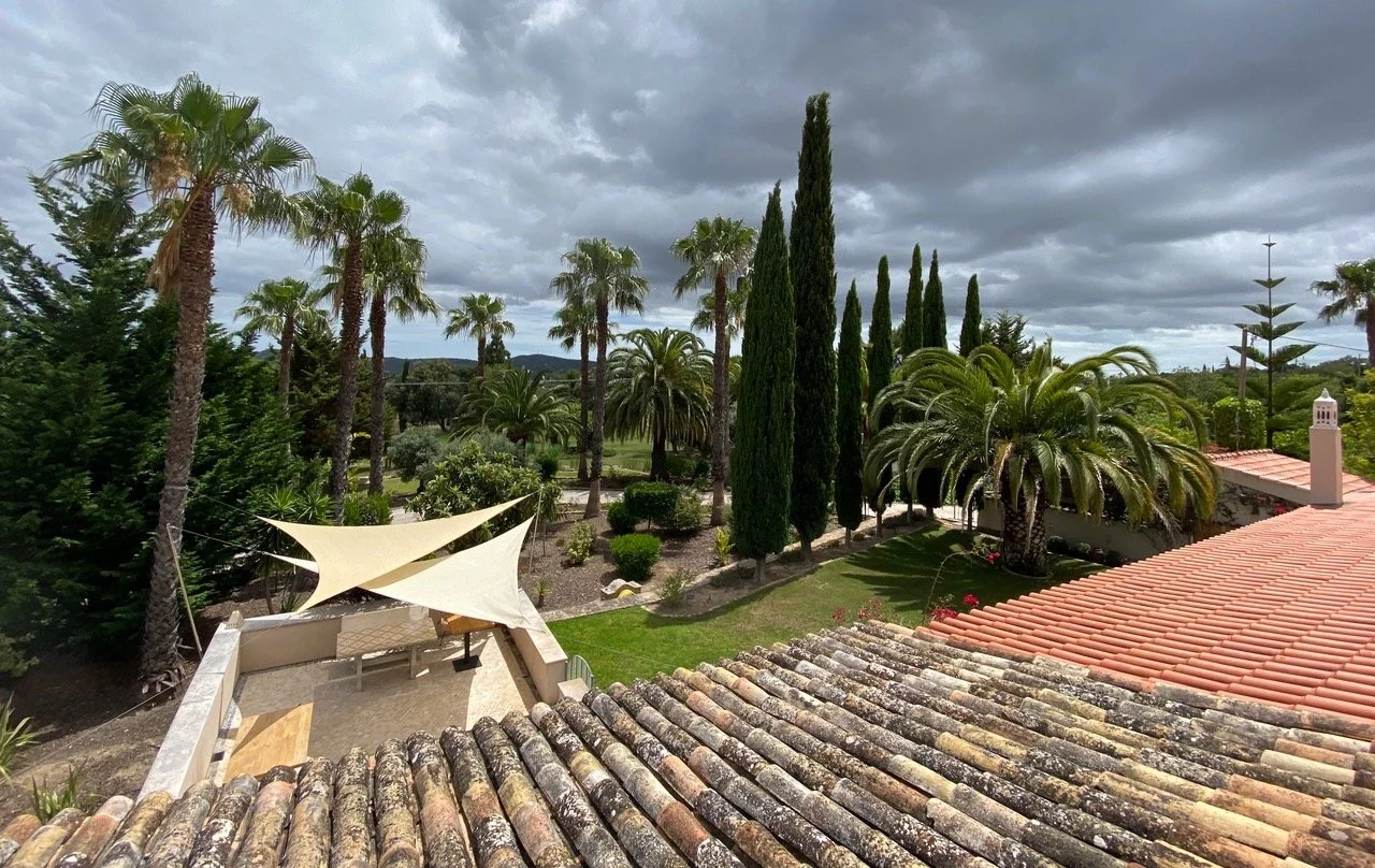 Rooftop at Quinta Palm Tree Portugal