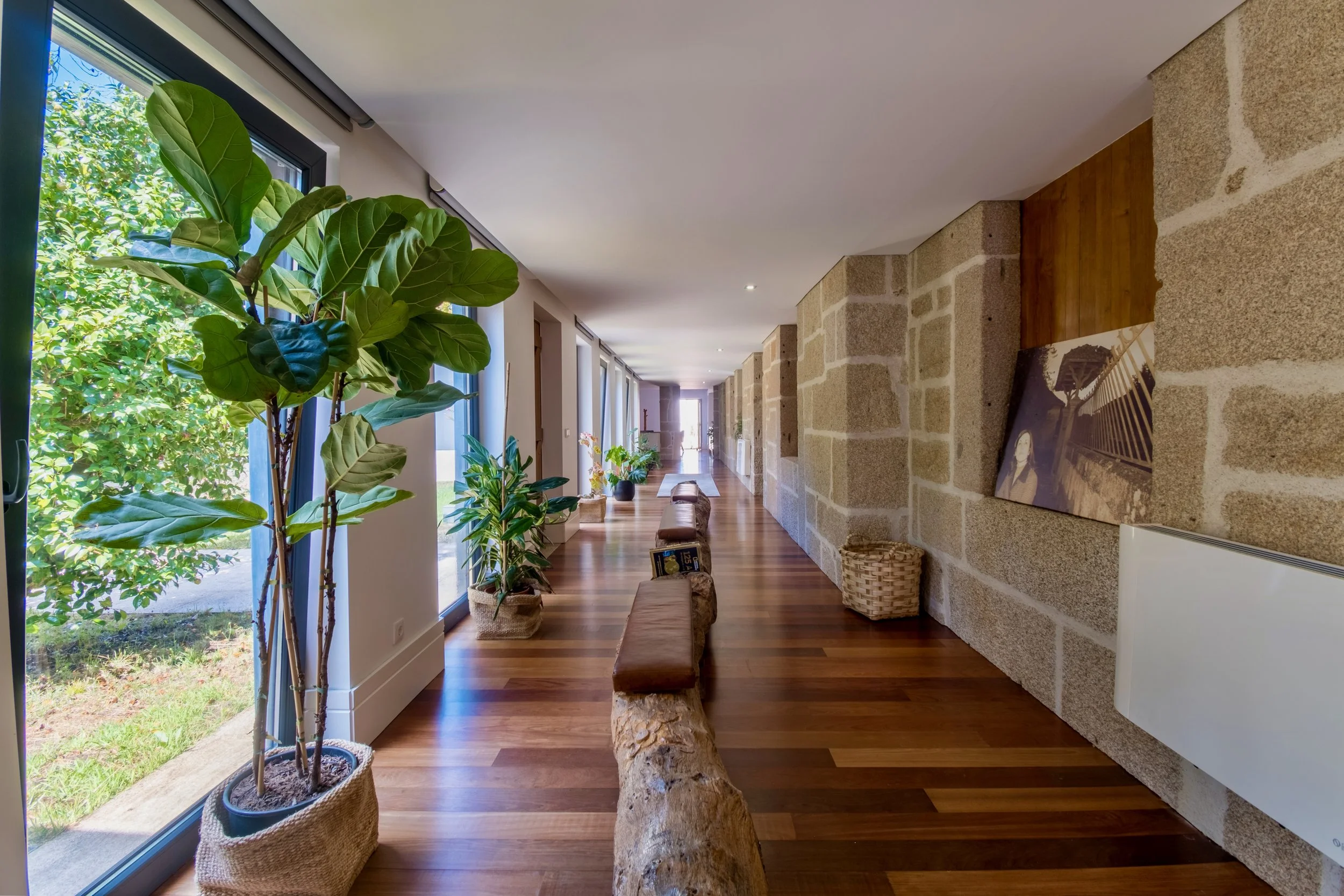 Tojeira - 34 of 48.jpeg