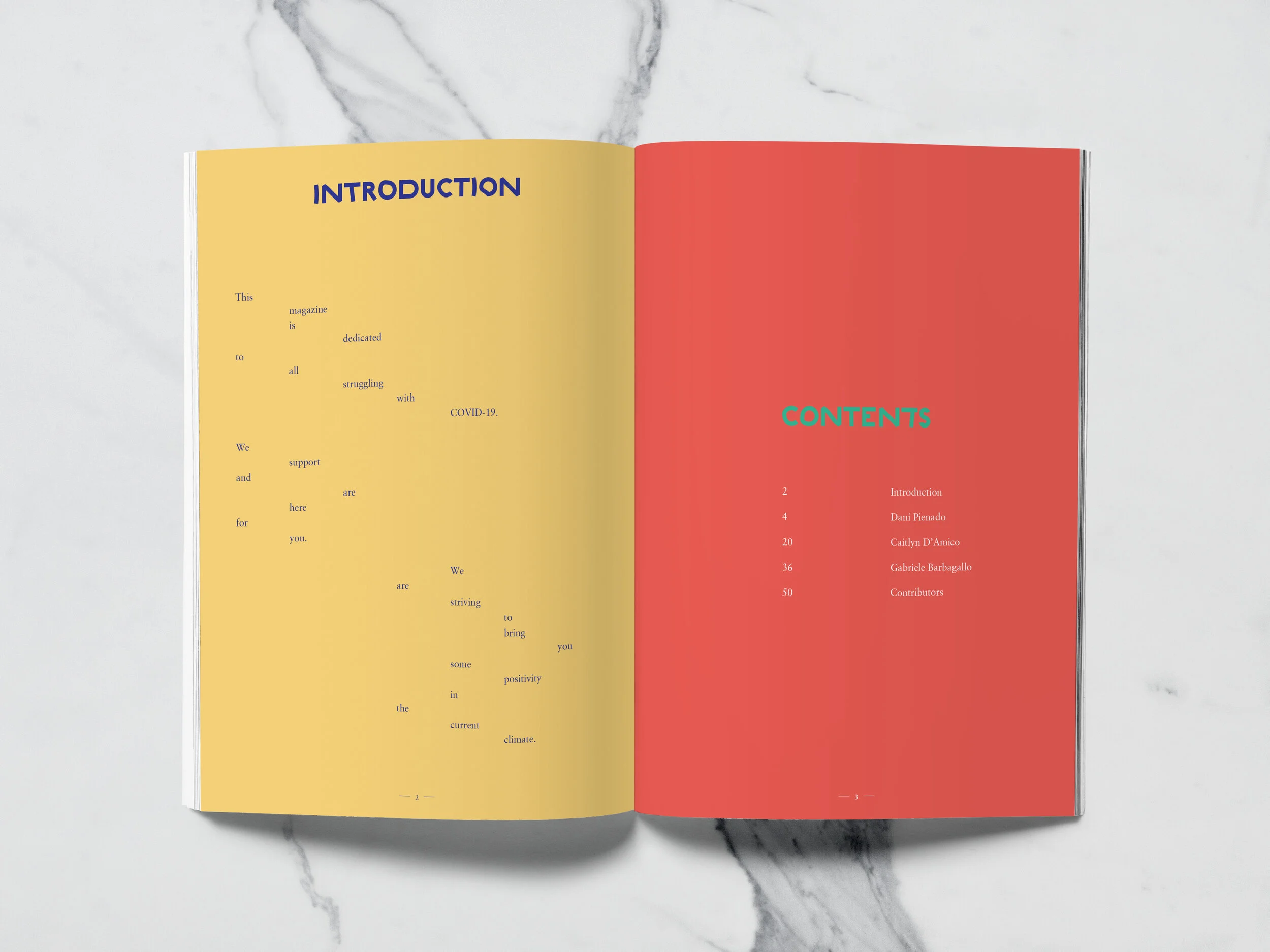 intro + contents.jpg