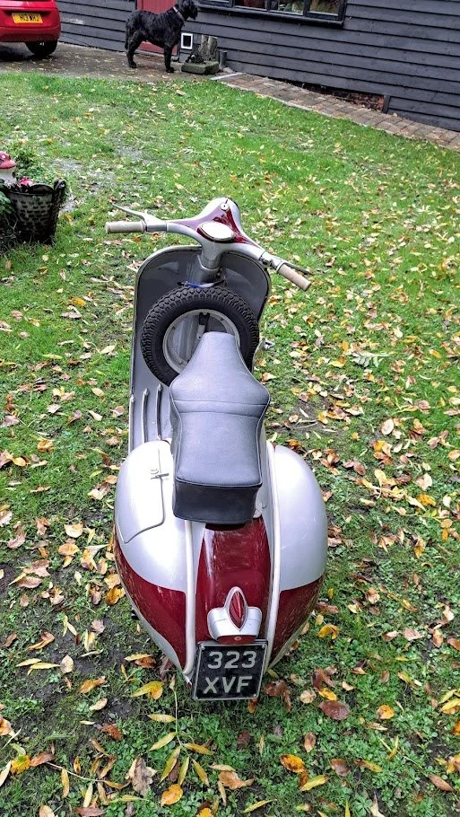 20251020_165228.jpg