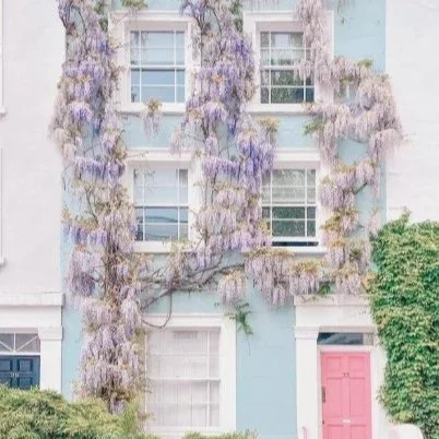 Notting Hill