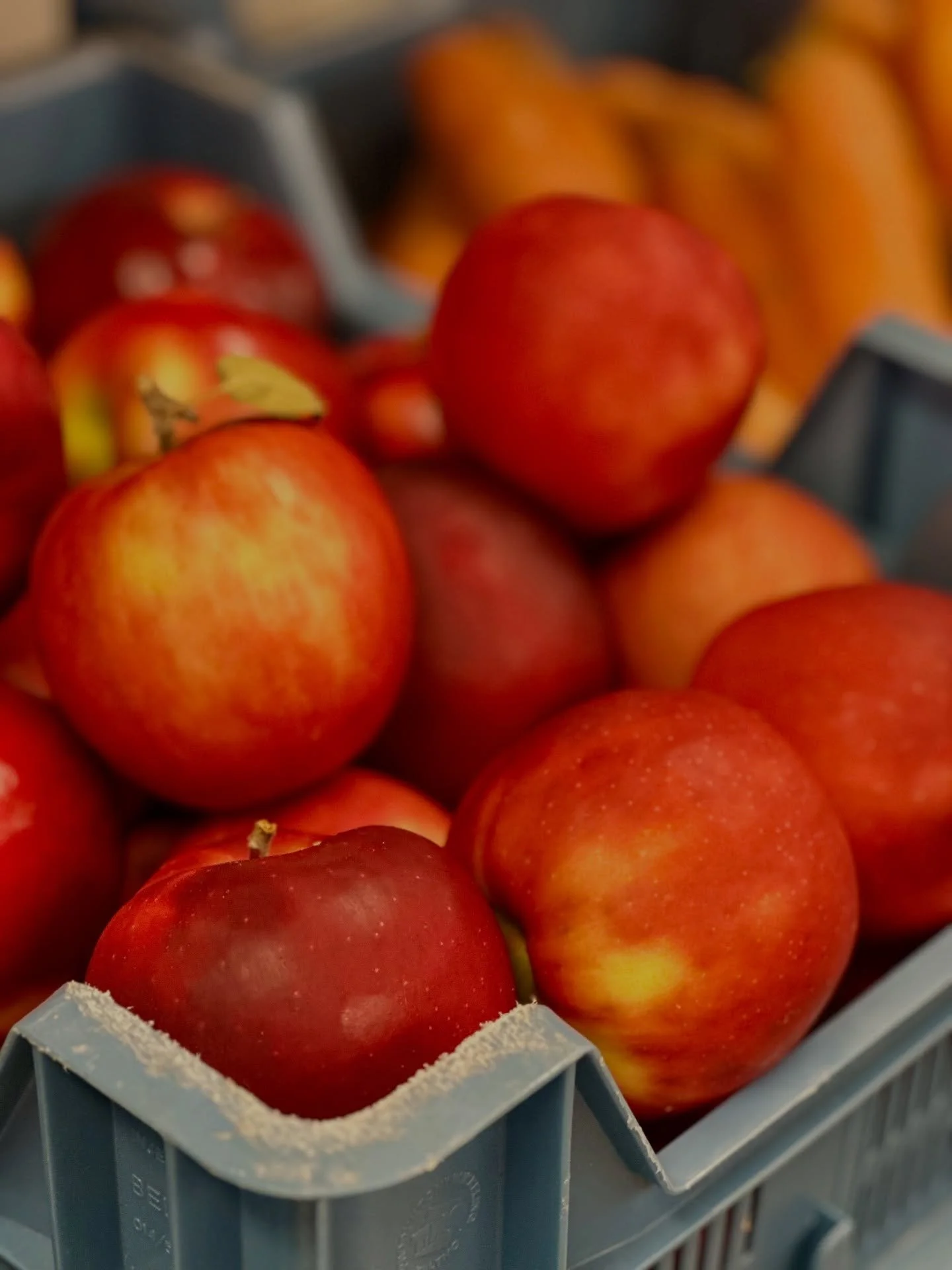 Belgian Jonagold apples are at their peak right now &mdash; try them in our cold-pressed juices 🍎🥤

📍Chicago Brussels 
Rue de flandre 45
Kitchen 9-3pm (2:30 weekdays)
Coffee 9-4pm 
-

#brunchbrussels #brusselsbrunch #brunchbruxelles #bruxellesbrun