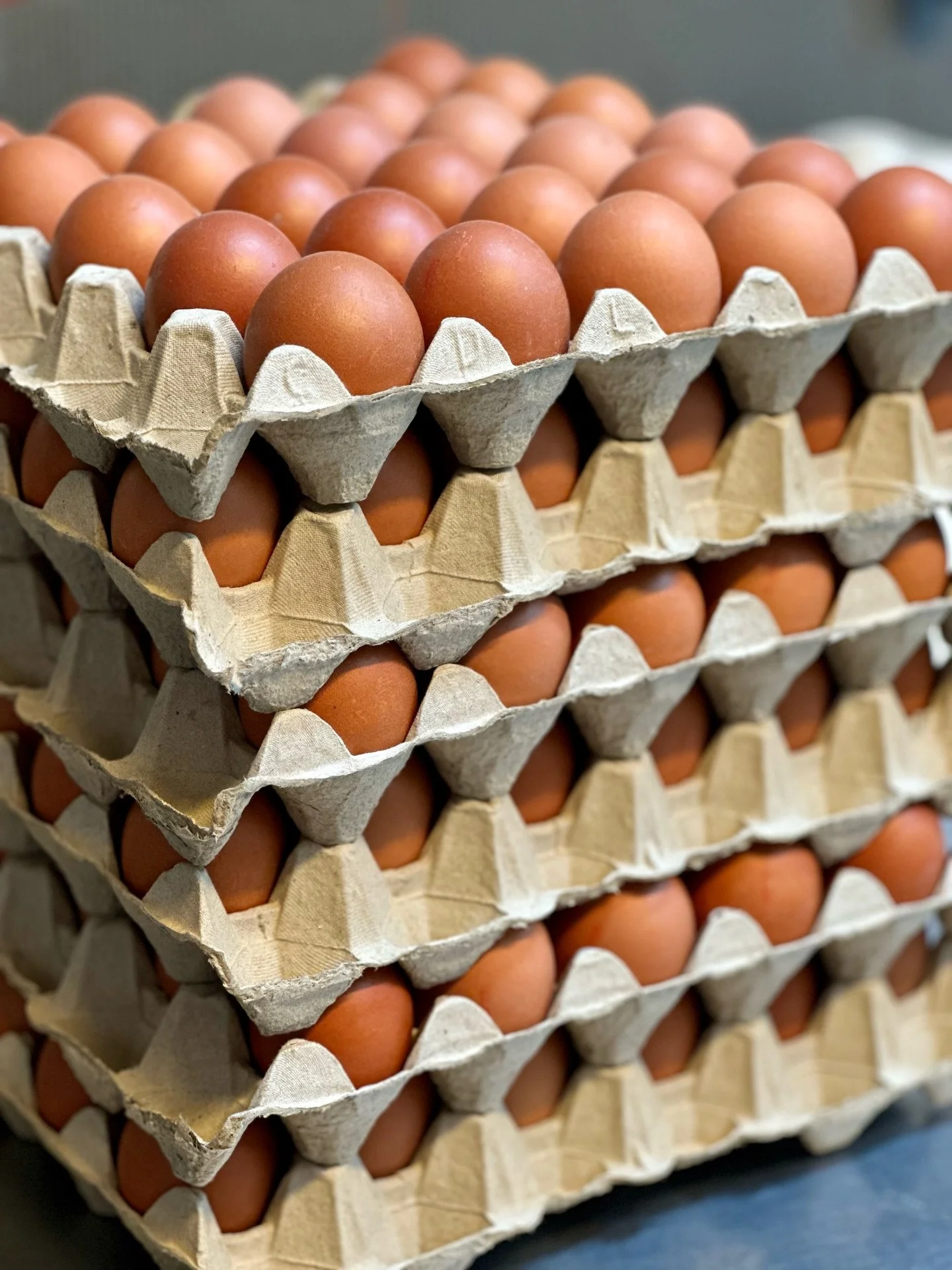 Starting the new year with a banger: best ingredients, everything homemade from scratch, top-tier produce. That&rsquo;s Chicago ✨🩵🥞

📍Chicago Brussels 
Rue de flandre 45
Kitchen 9-3pm (2:30 weekdays)
Coffee 9-4pm 
-

#brunchbrussels #brusselsbrunc