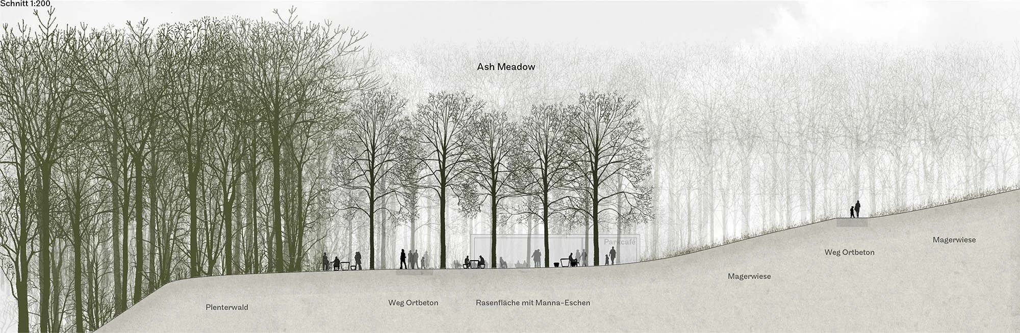 butzenbüel_schnitt_ash_meadow.jpg