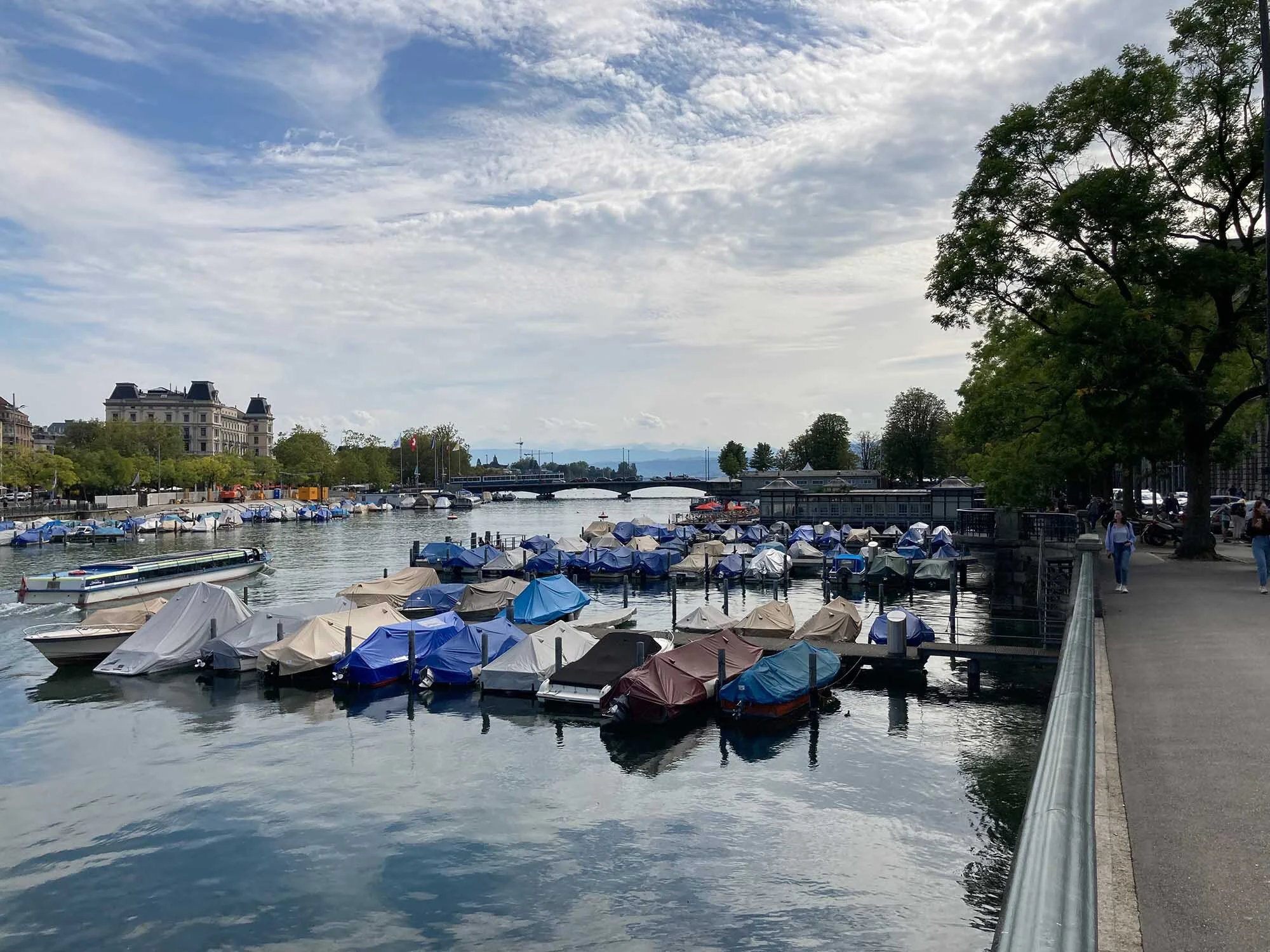 limmat_foto5.jpg