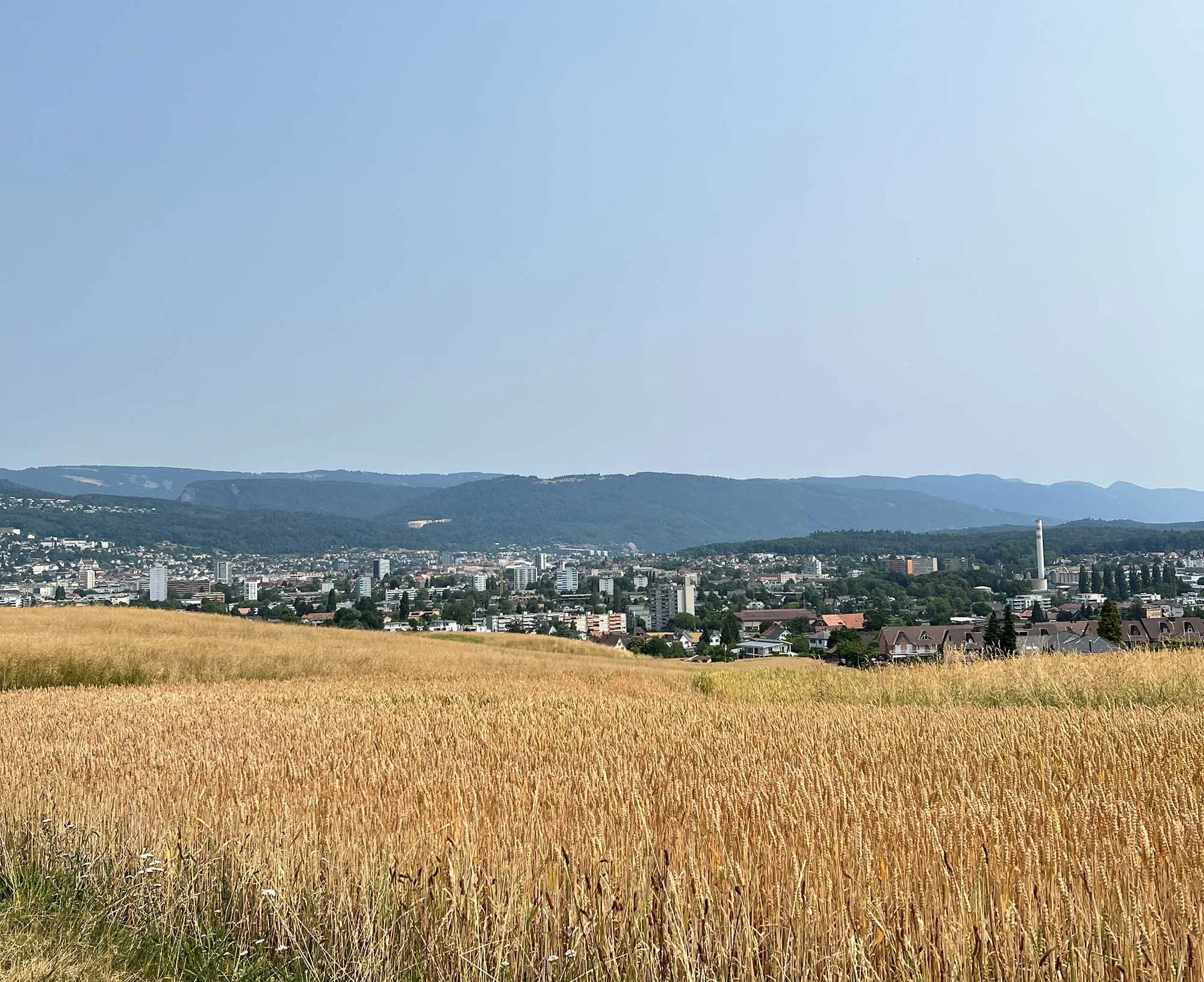 biel_foto4.jpg