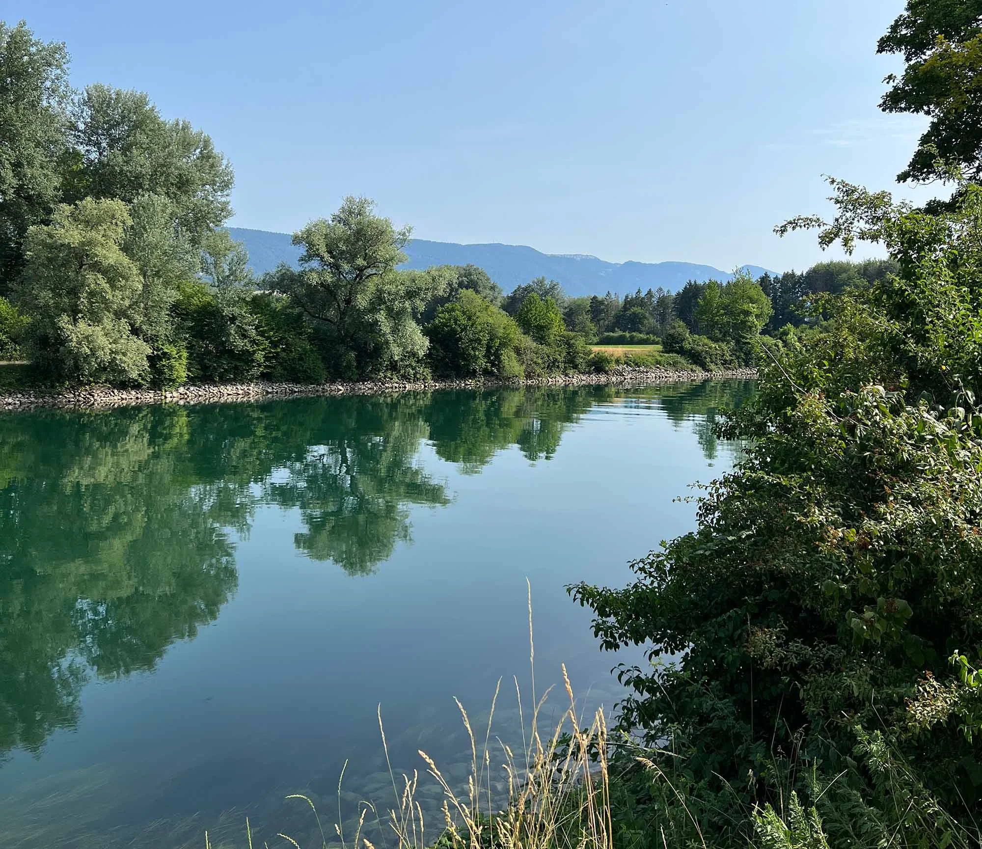 biel_foto6.jpg