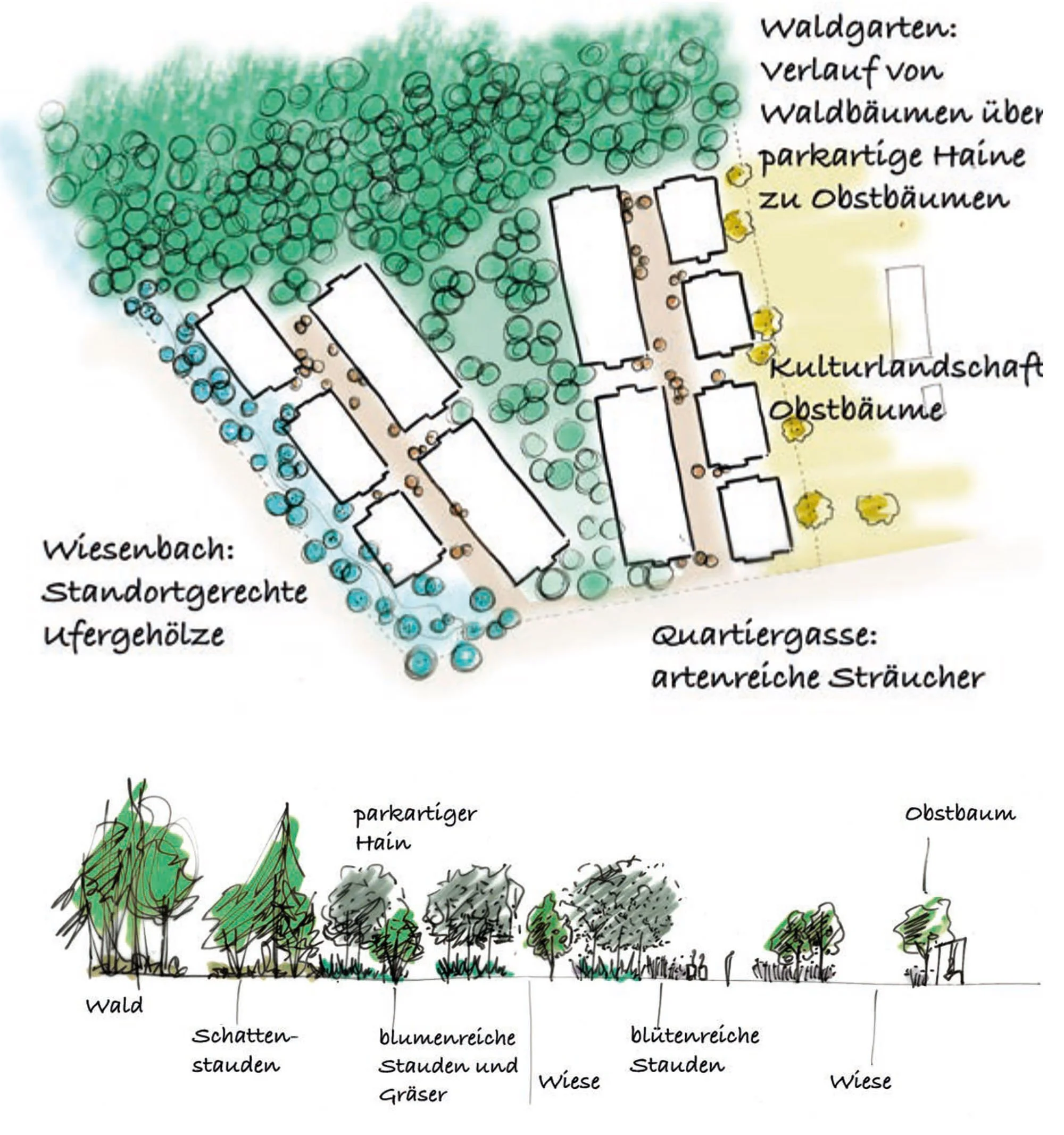 notkersegg_freiraum_vegation2.jpg