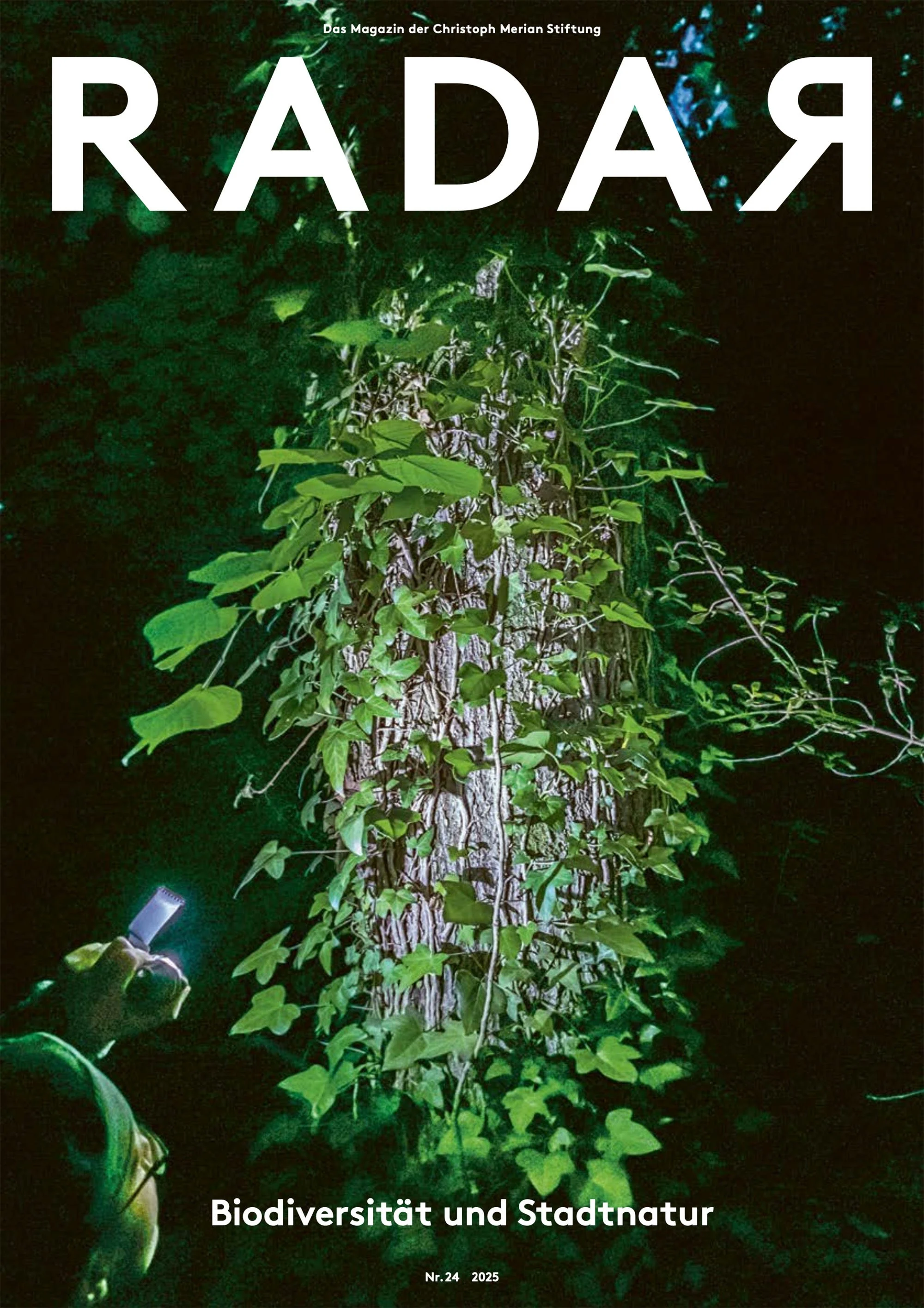 radar_dreispitz_radar_cover.jpg