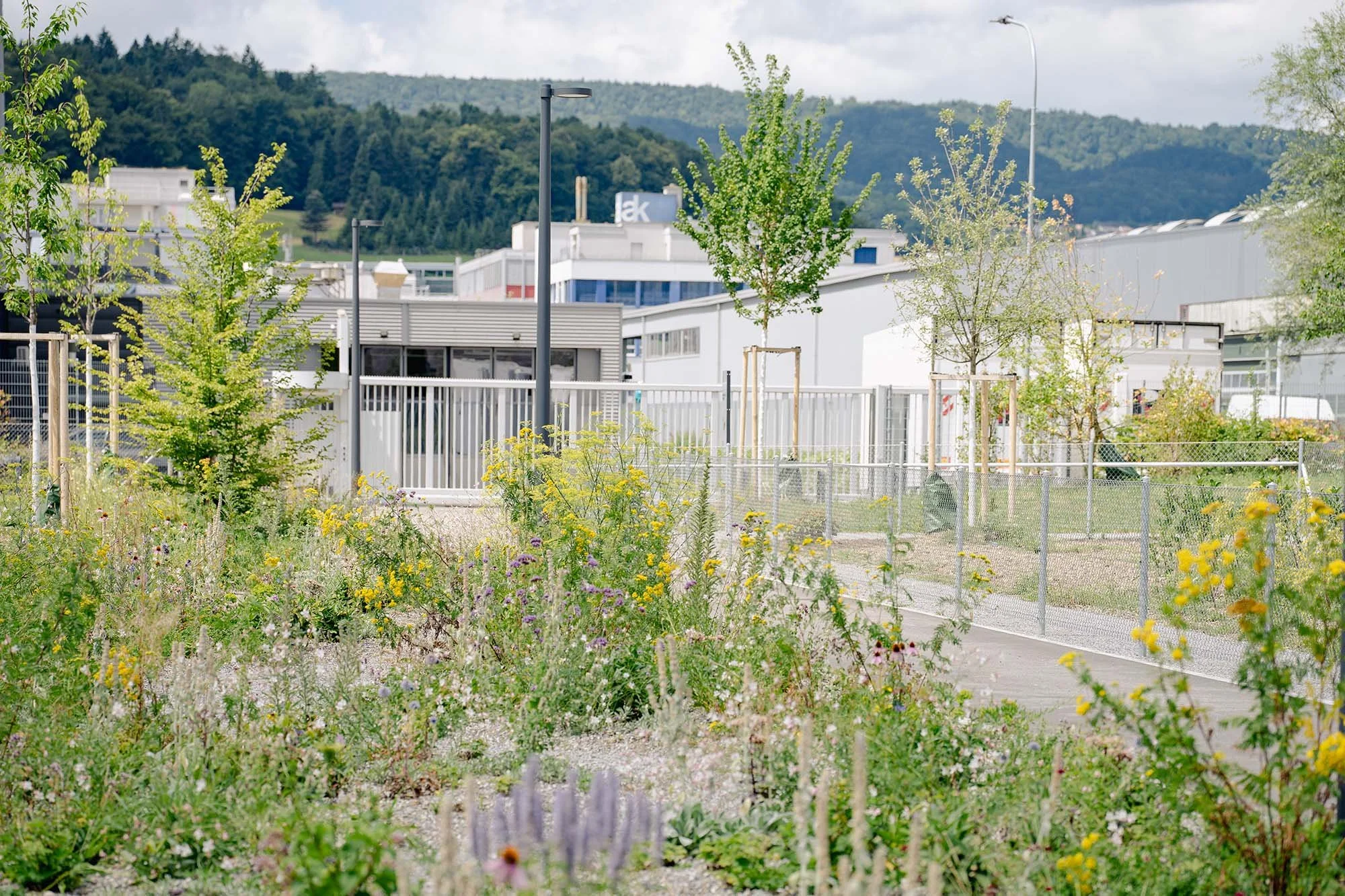 ksl_urdorf_neu_8.jpg