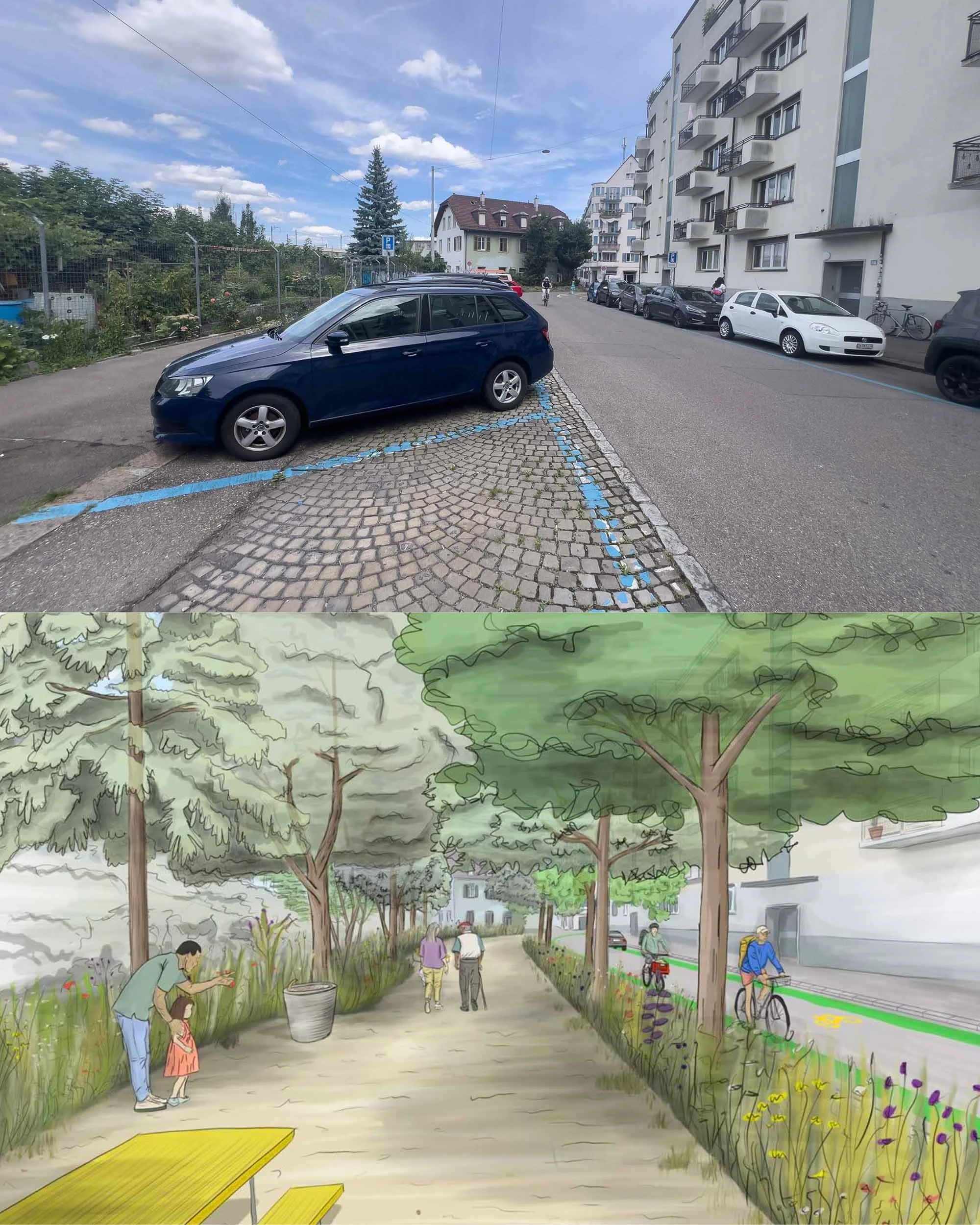 brauerbogen_beforeafter2.jpg