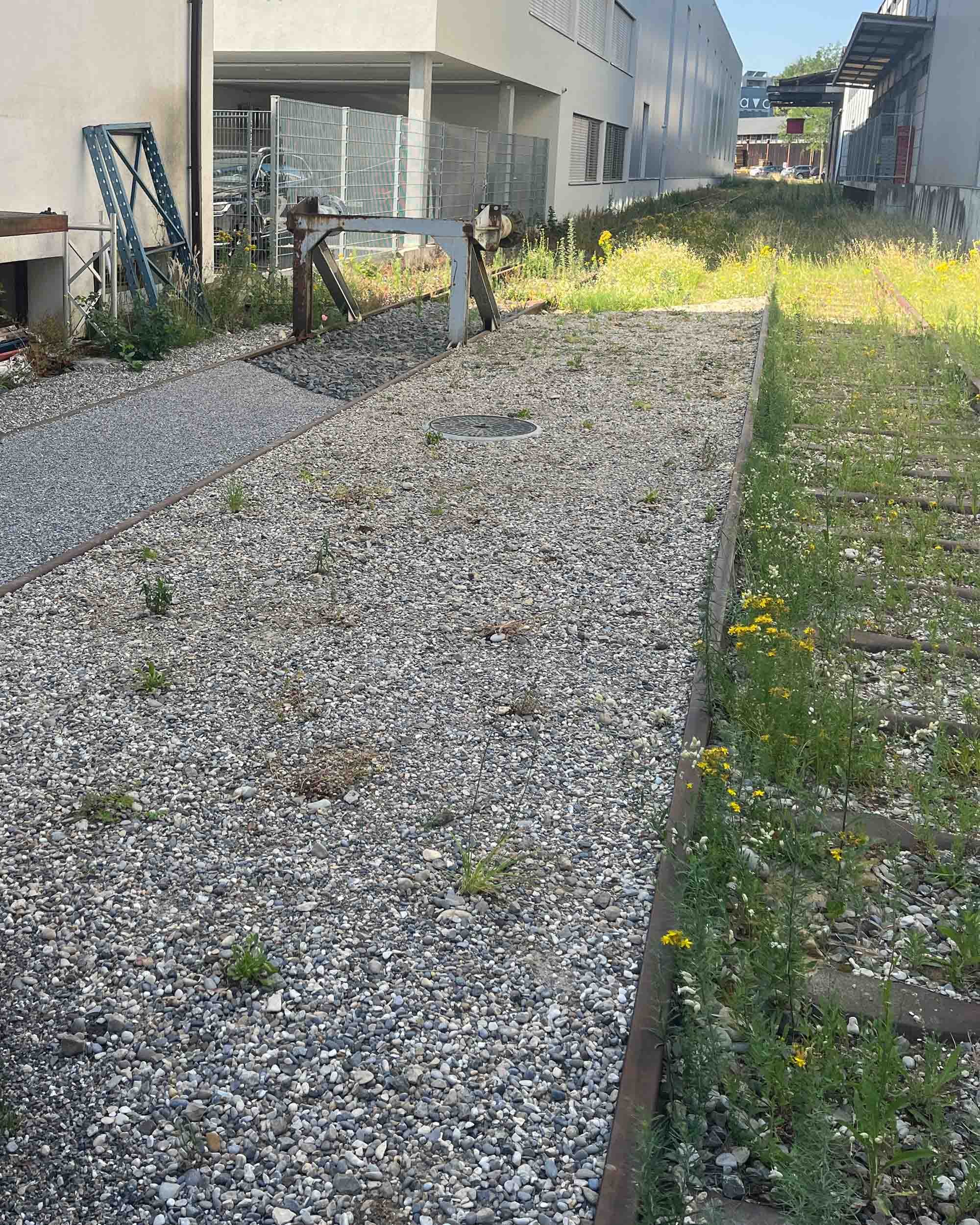 mailandstrasse_foto5.jpg