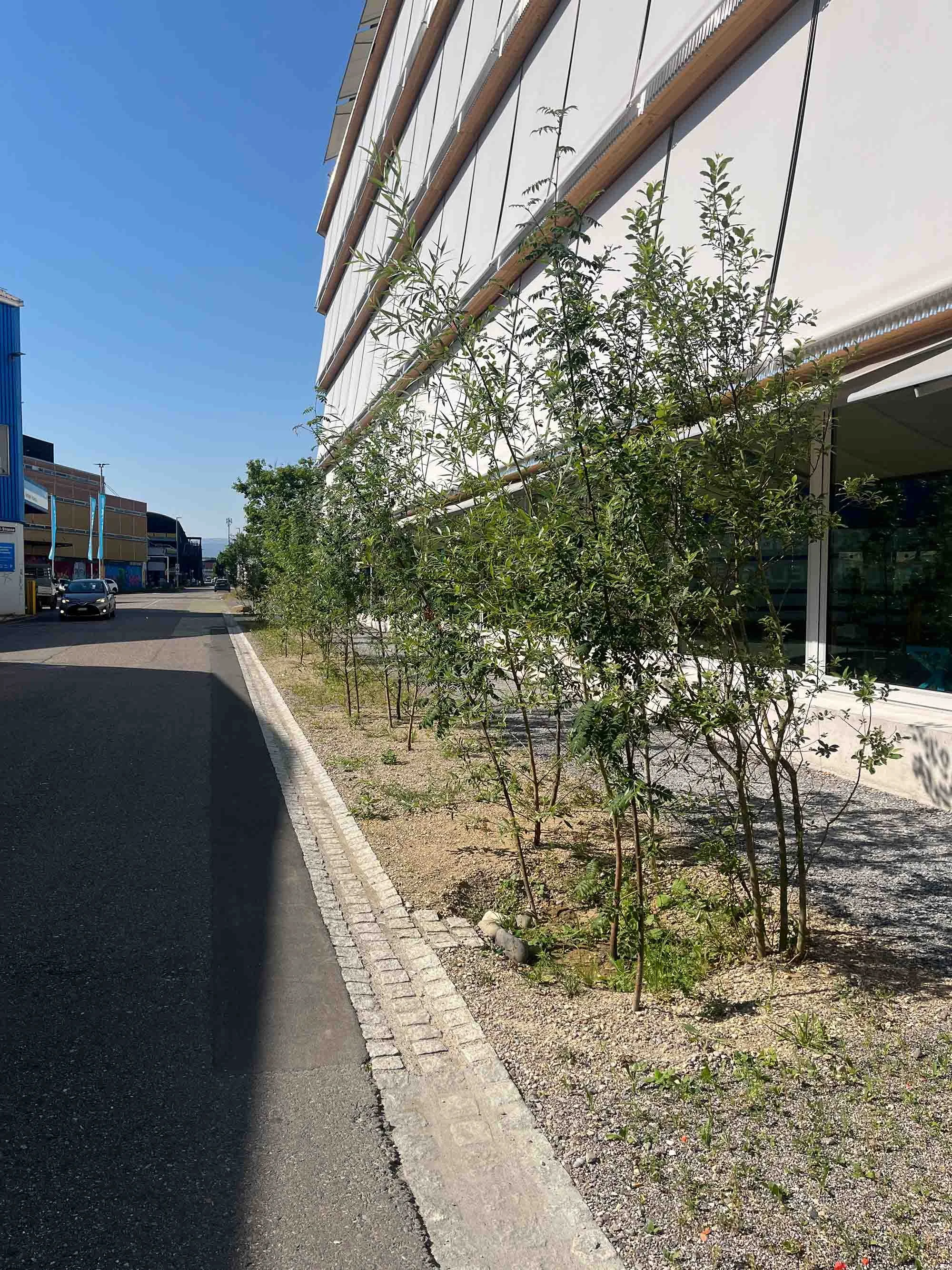 mailandstrasse_foto1.jpg