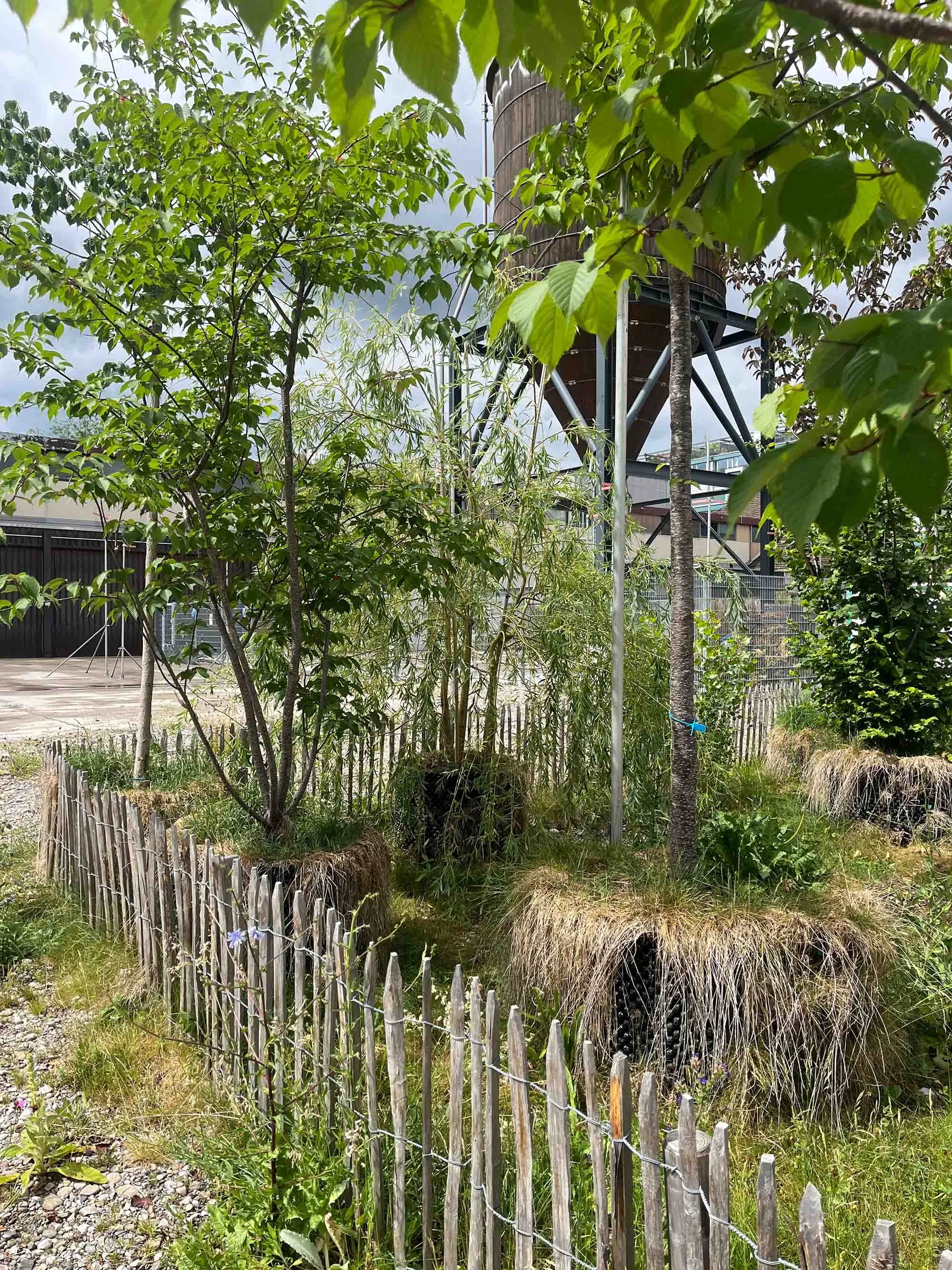 Temporäre Begrünung: Grün Stadt Zürich