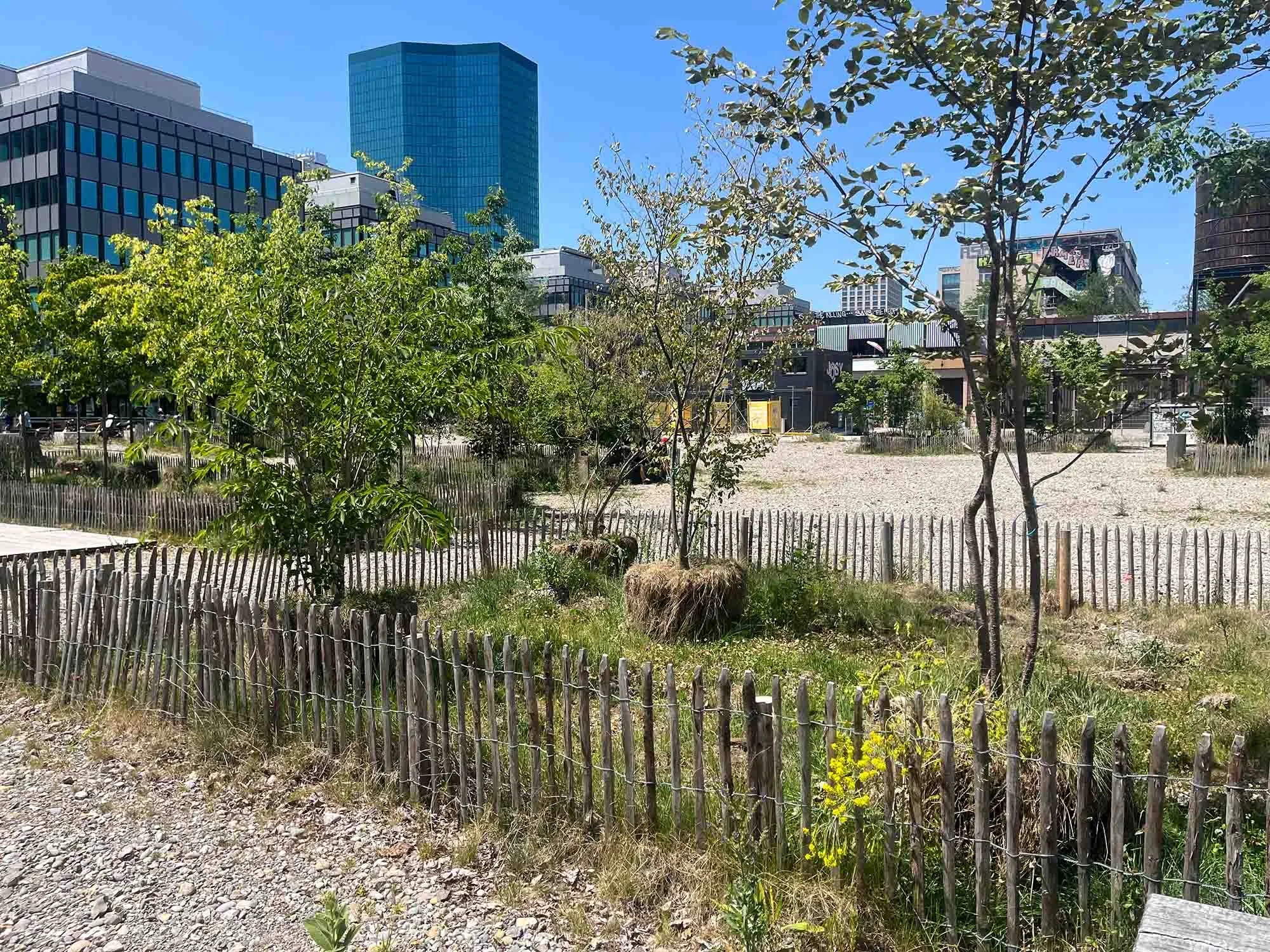 Temporäre Begrünung: Grün Stadt Zürich