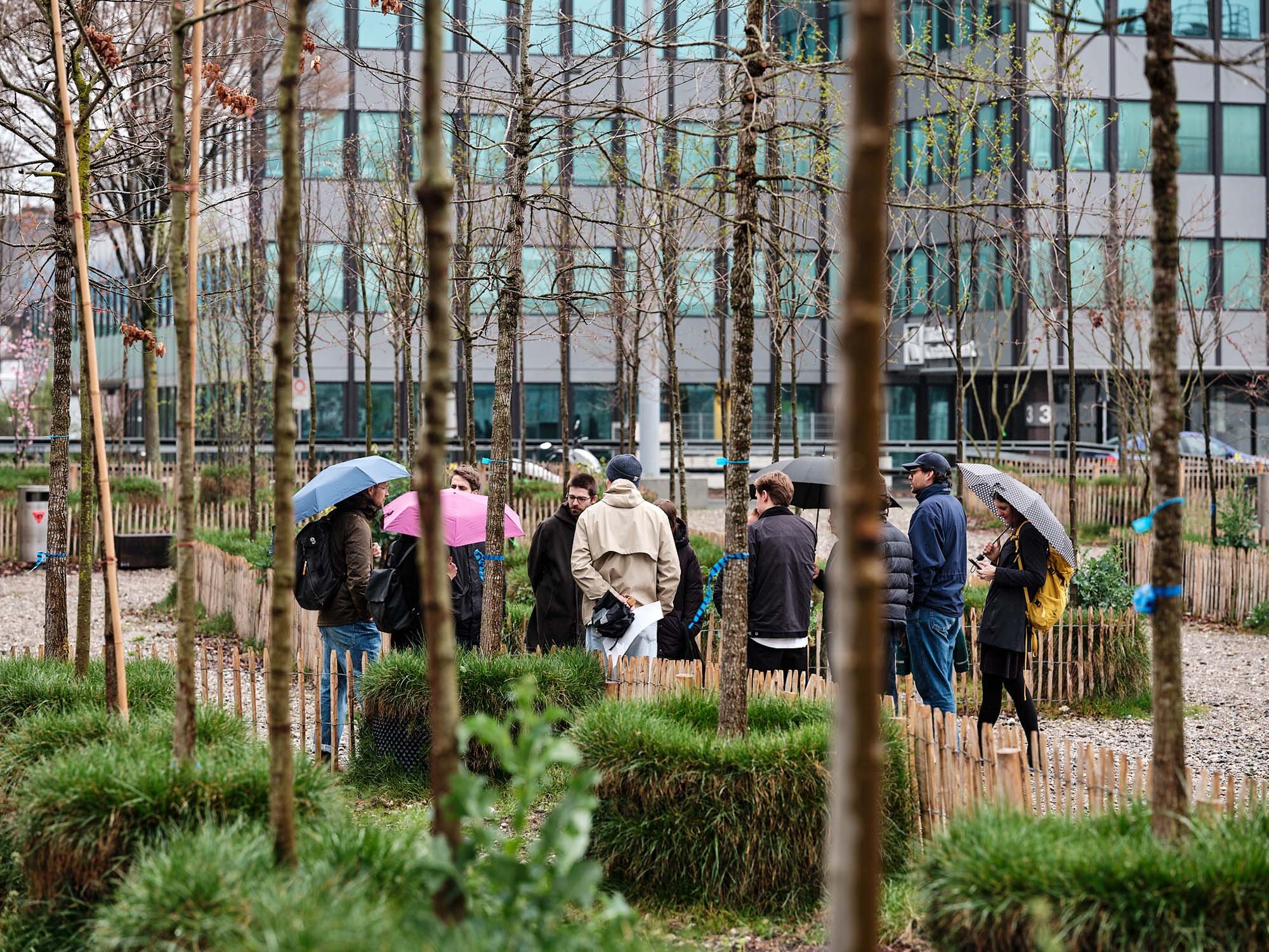 Temporäre Begrünung: Grün Stadt Zürich