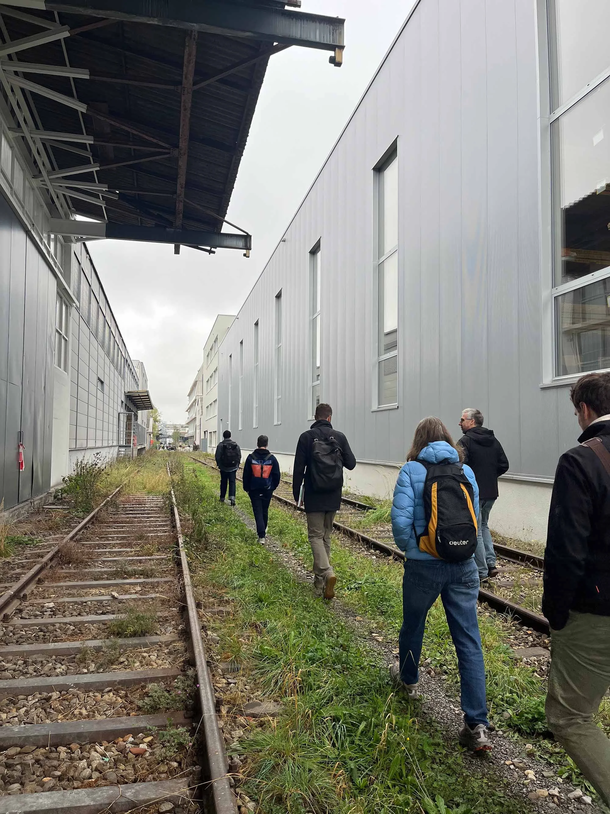 dreispitz_spaziergang_1.jpg