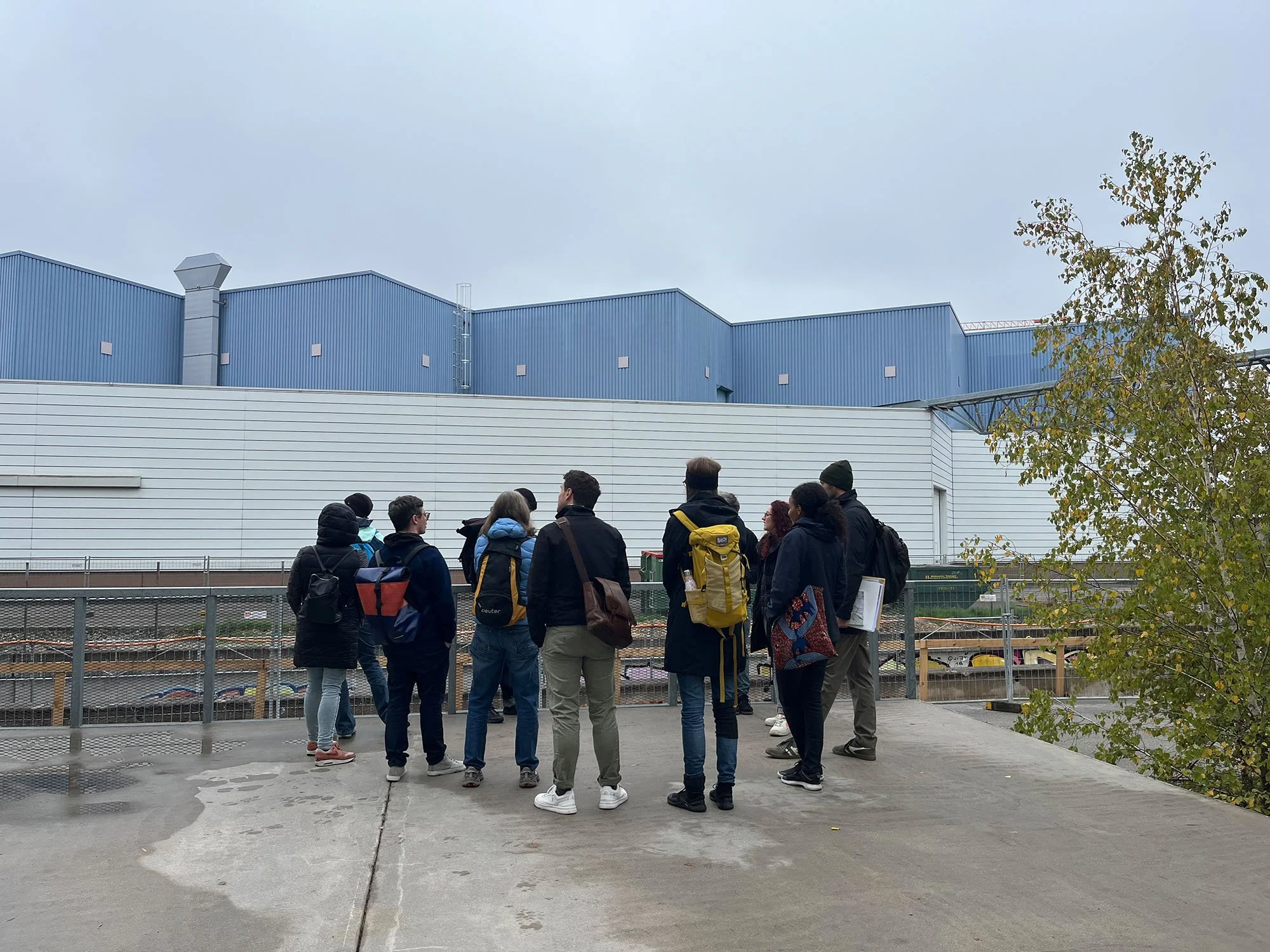 dreispitz_spaziergang_3.jpg
