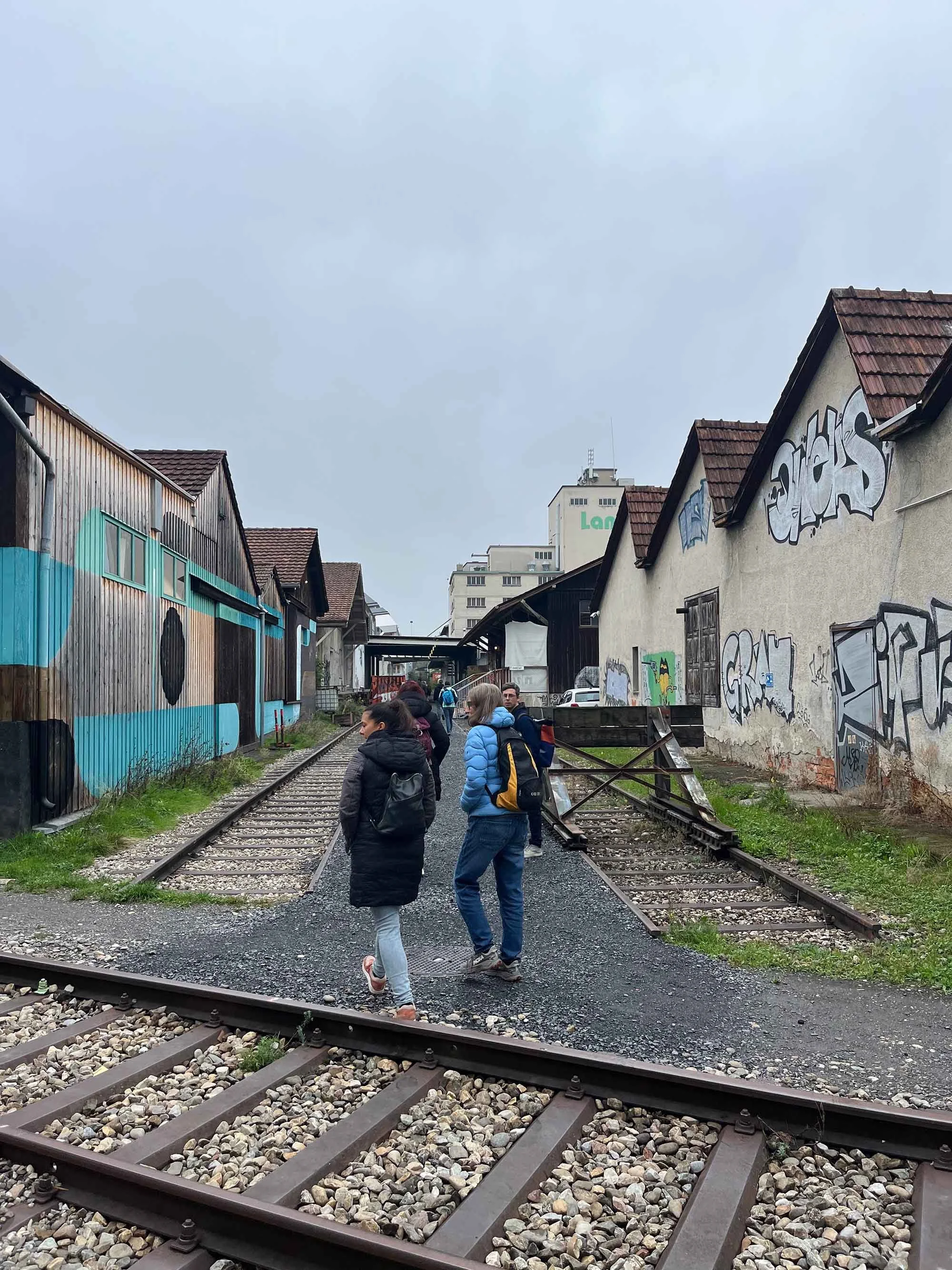 dreispitz_spaziergang_10.jpg
