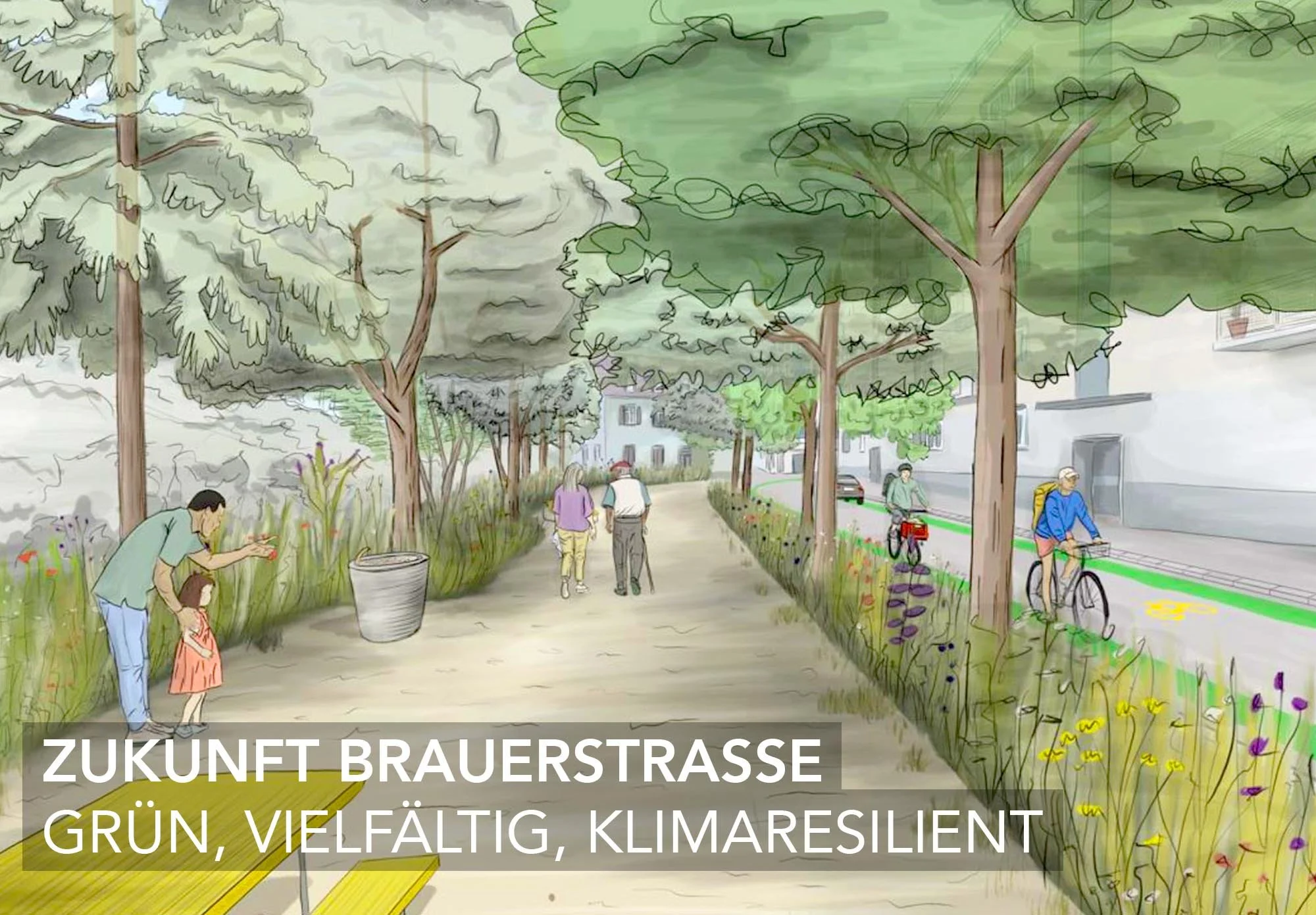 brauerstrasse_thumbnail_v4.jpg