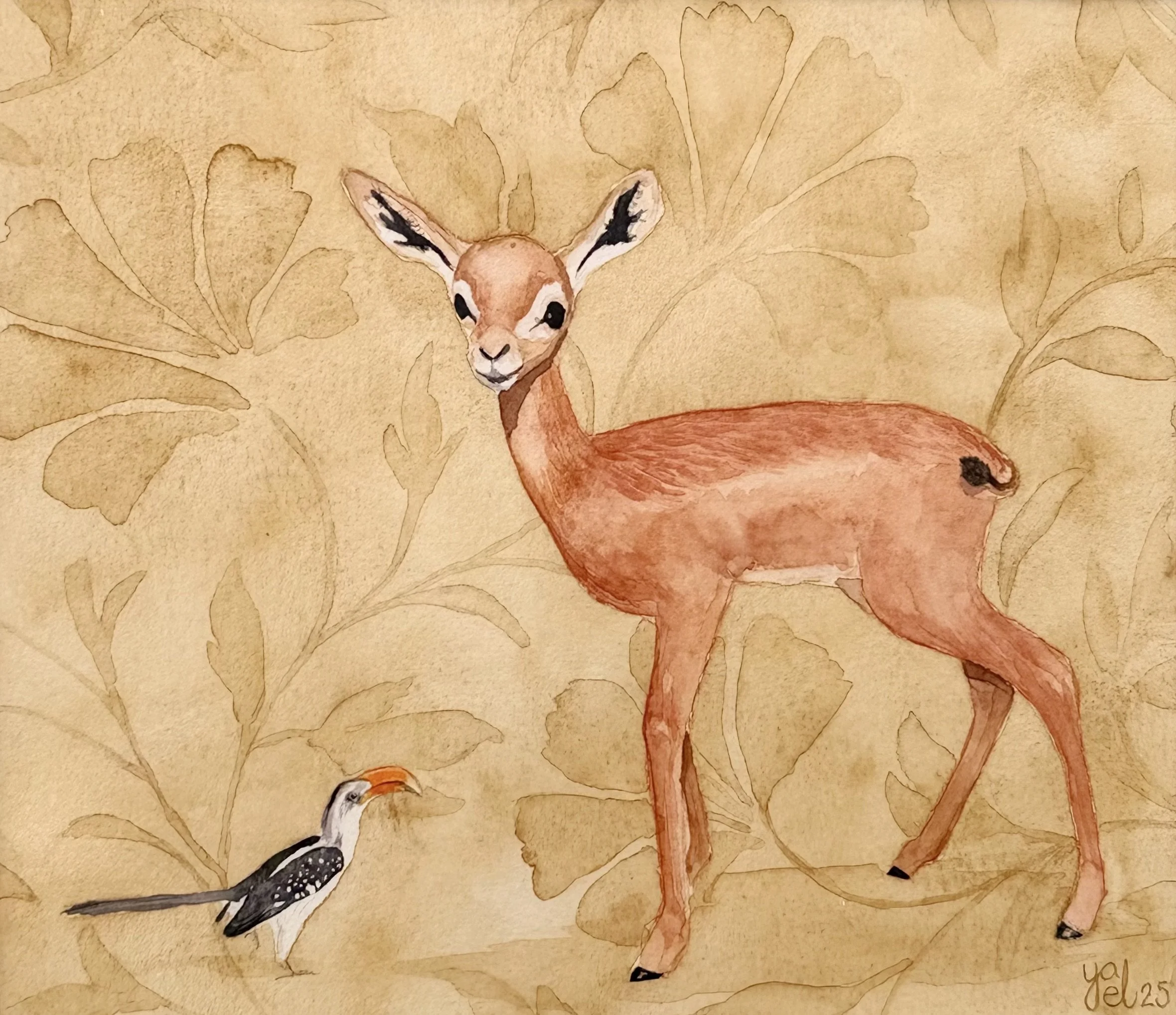 Gerenuk & Hornbill
