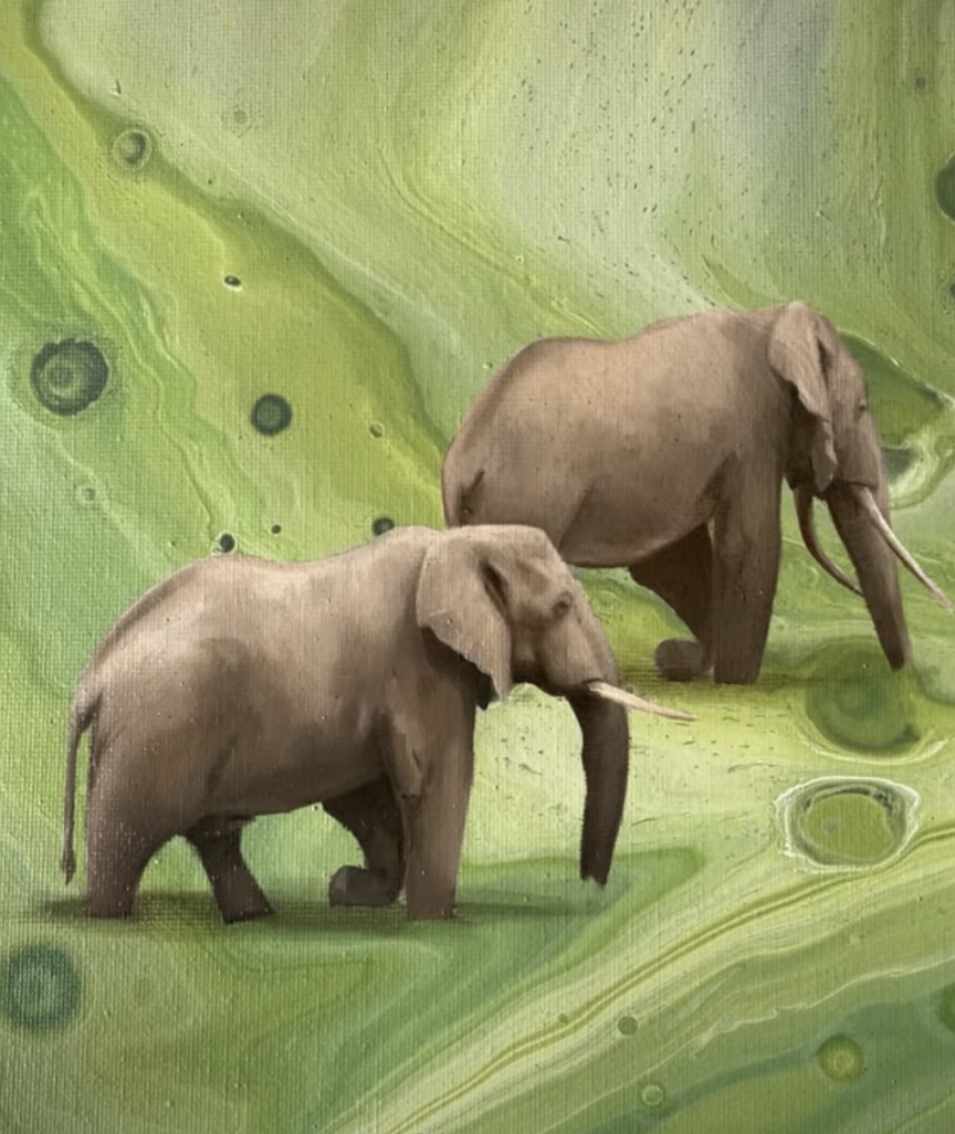 Screenshot 2026-01-15 at 09.50.37.png