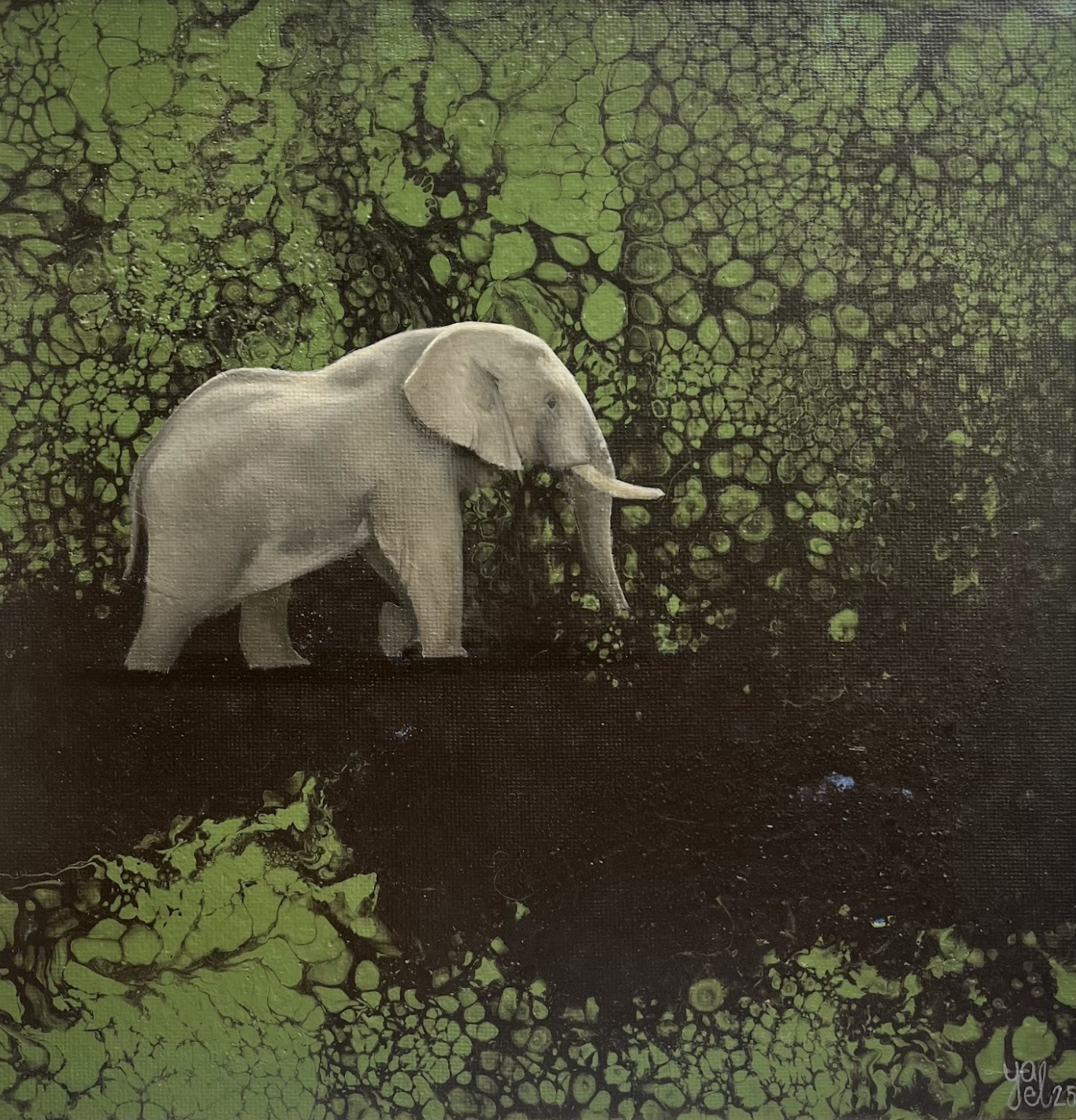 Screenshot 2026-01-15 at 16.38.50.png