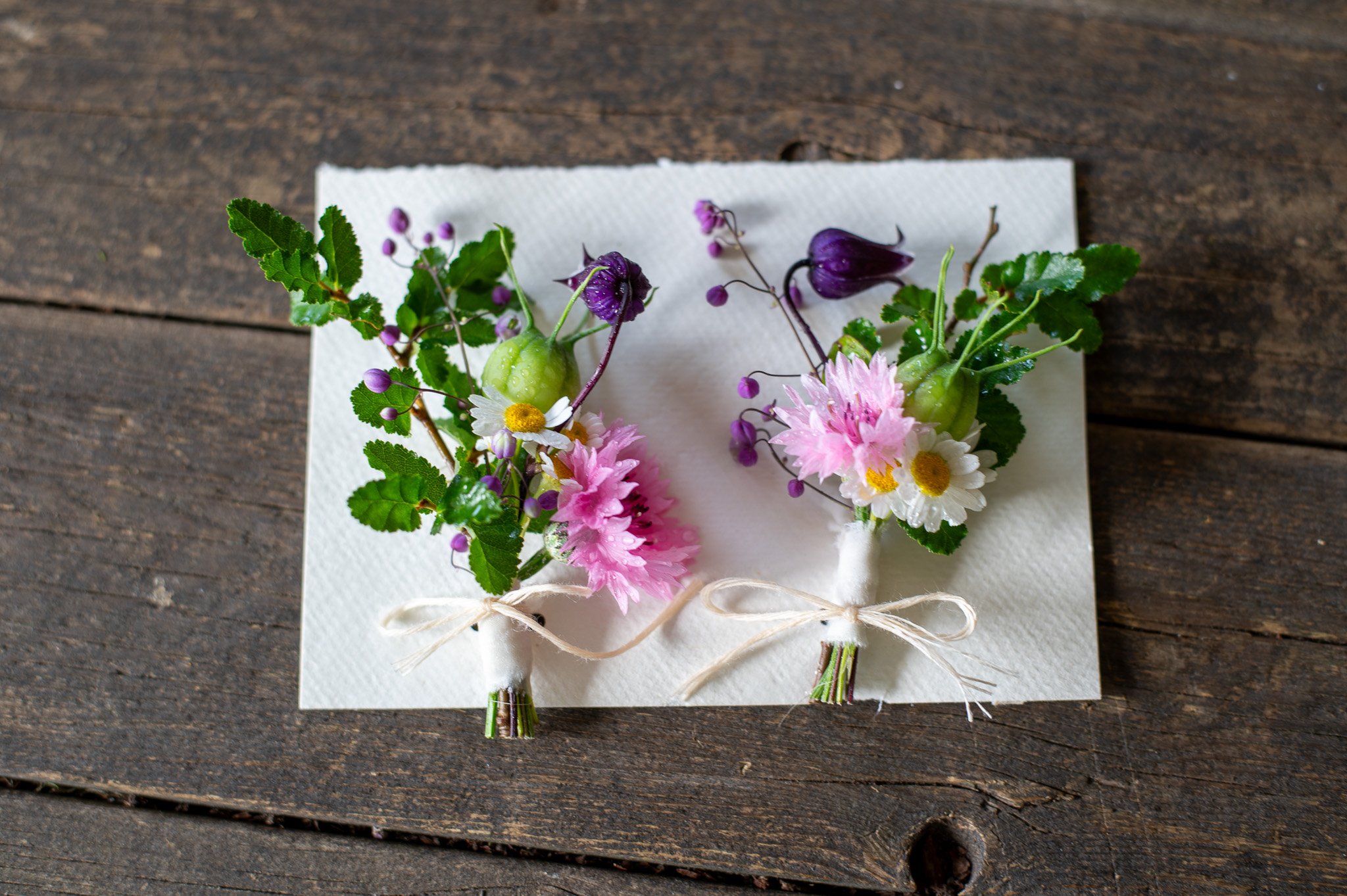 Knapphullsblomster