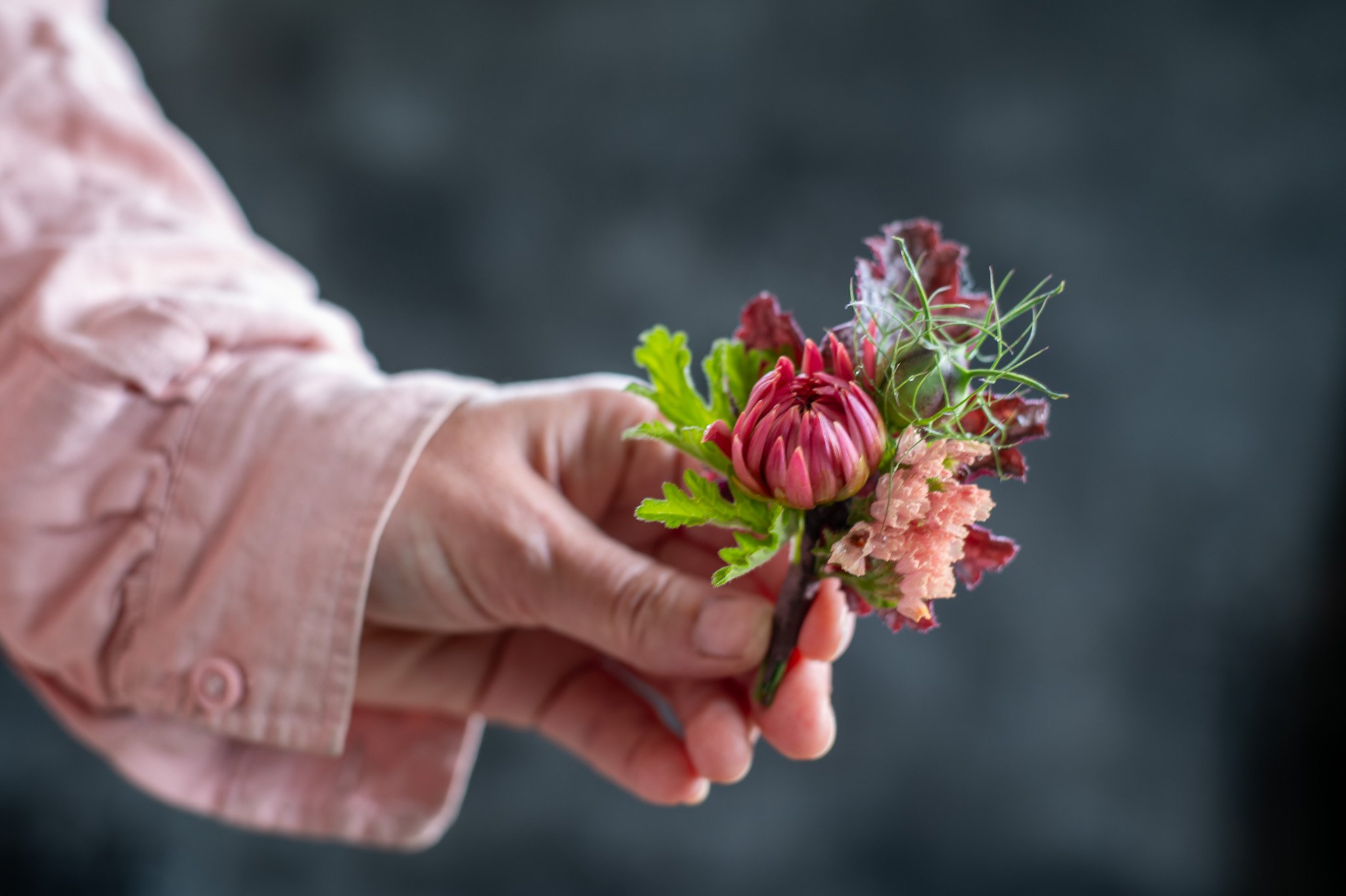 Knapphullsblomst