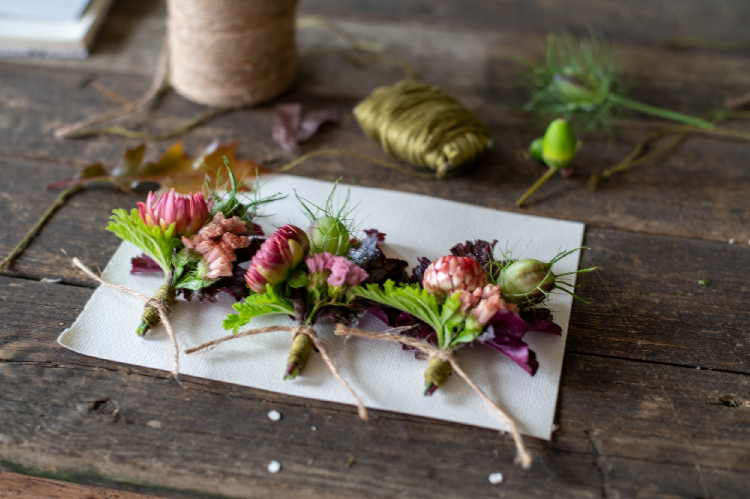 knapphullsblomster