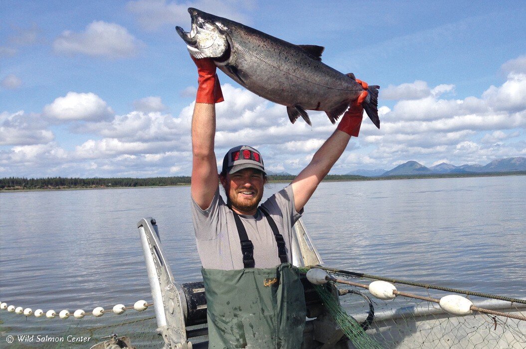 Trump's Poison Pill for Alaska Salmon — Carl Safina