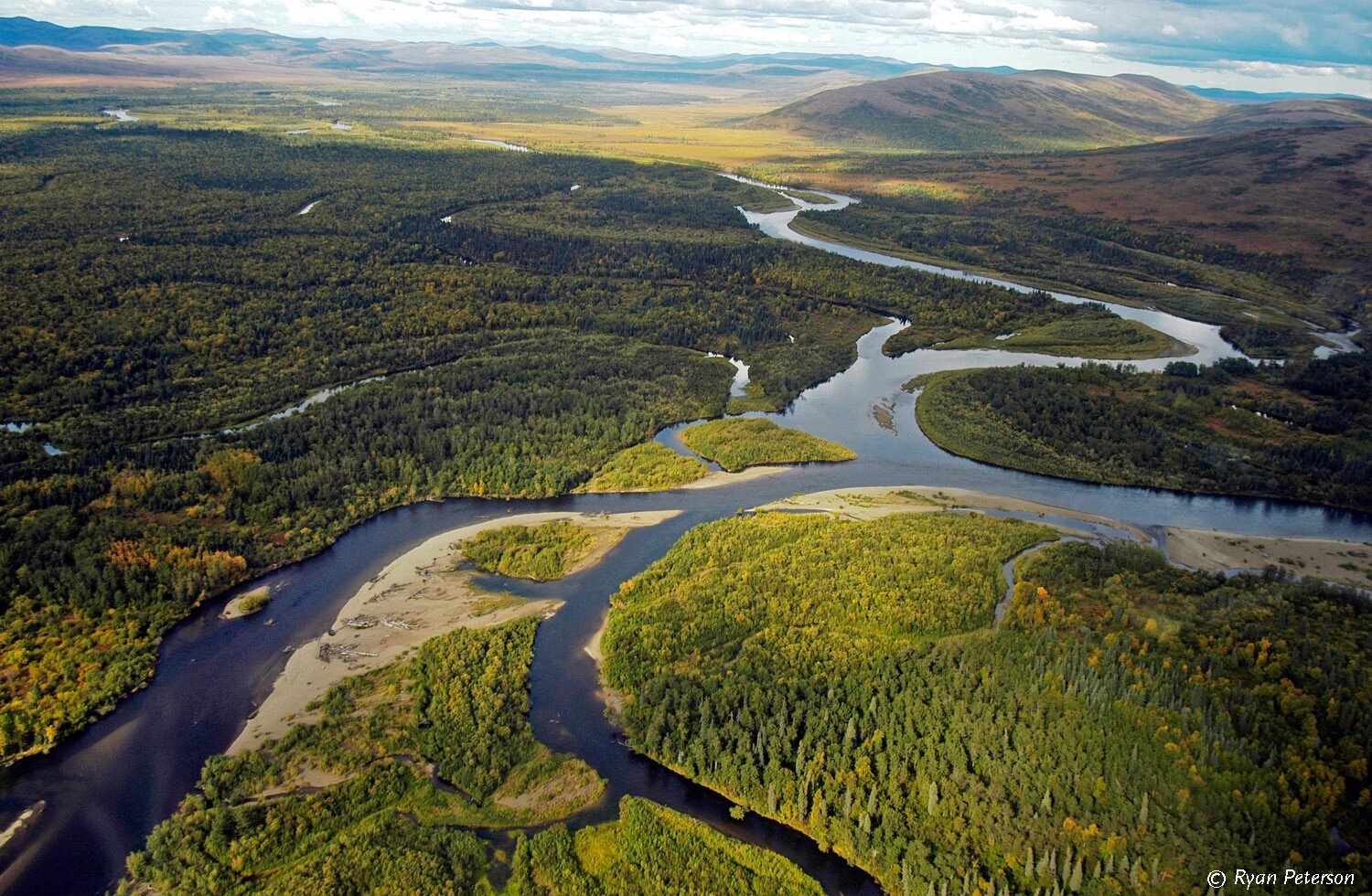 Trump’s Poison Pill for Alaska Salmon