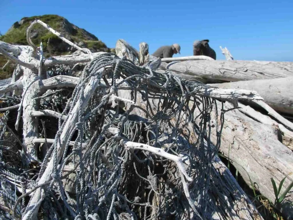 GYRE Expedition, Day 2 – morning (Sunday, June 9)