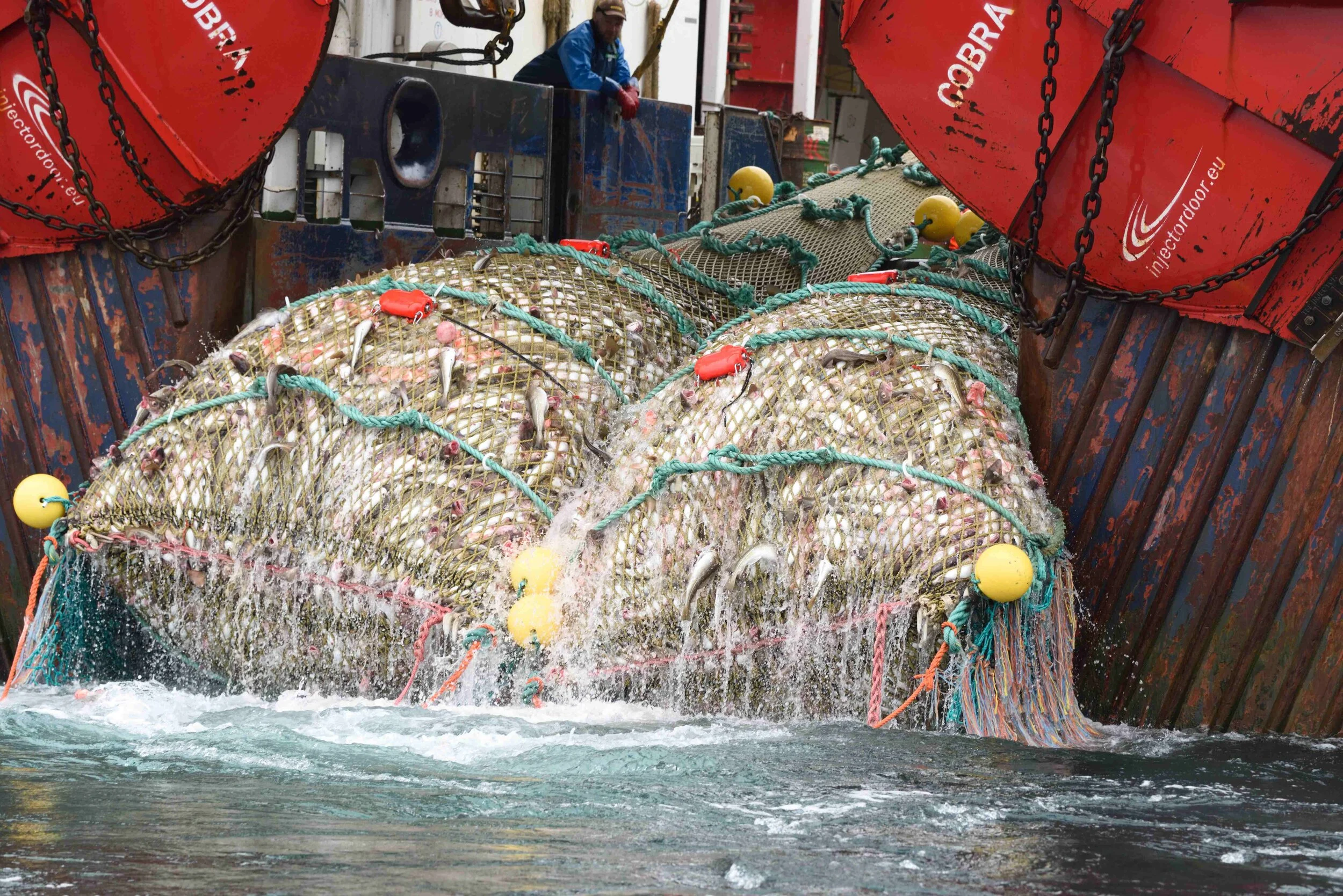 High in the Arctic up-close with a mega-fishing trawler