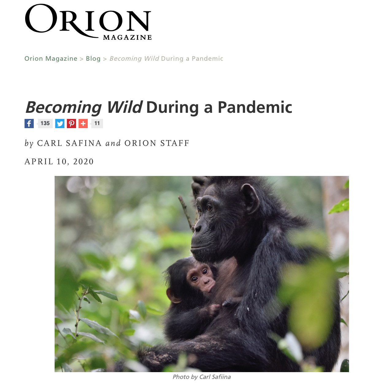 Screen Shot 2020-04-11 at 2.21.02 PM.png