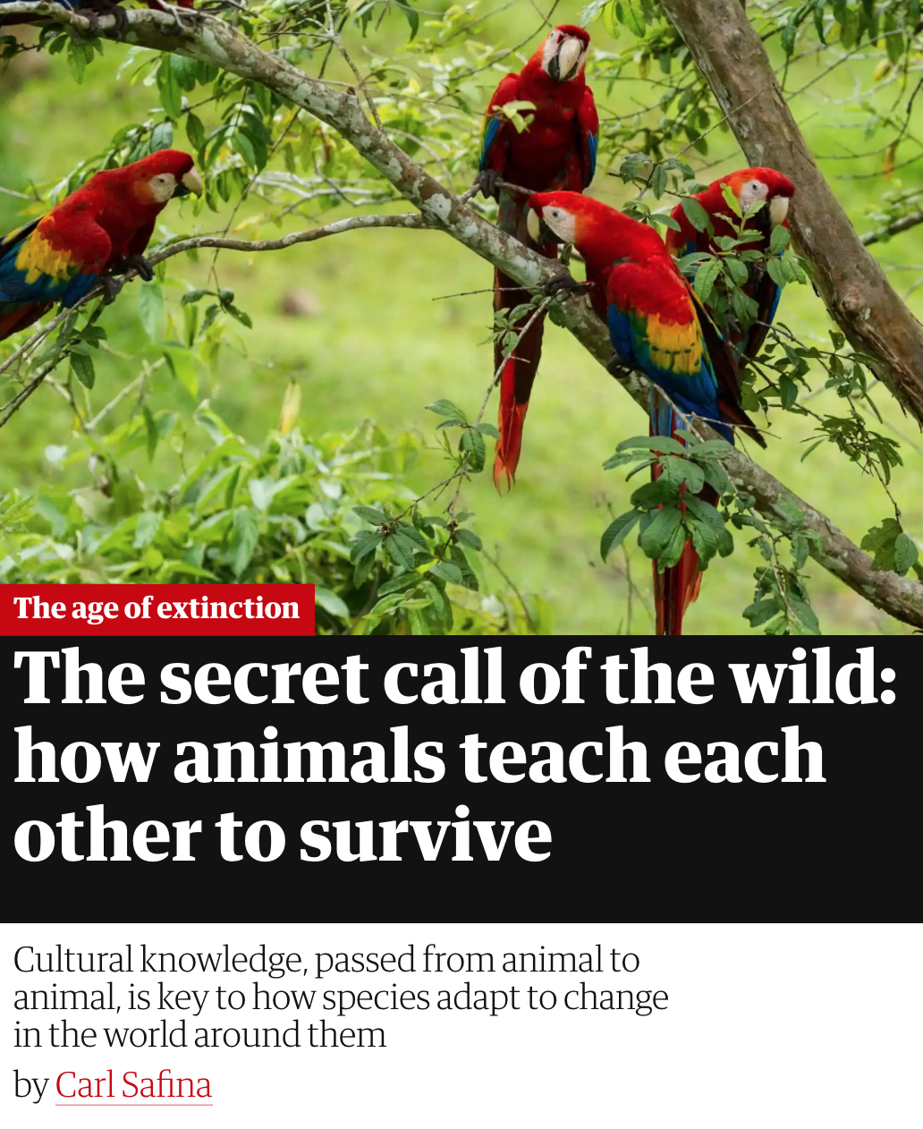 Screen Shot 2020-04-10 at 1.40.03 PM.png