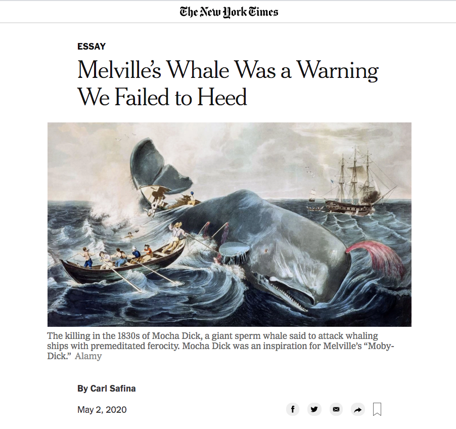 Screen Shot 2020-05-03 at 10.08.02 AM.png