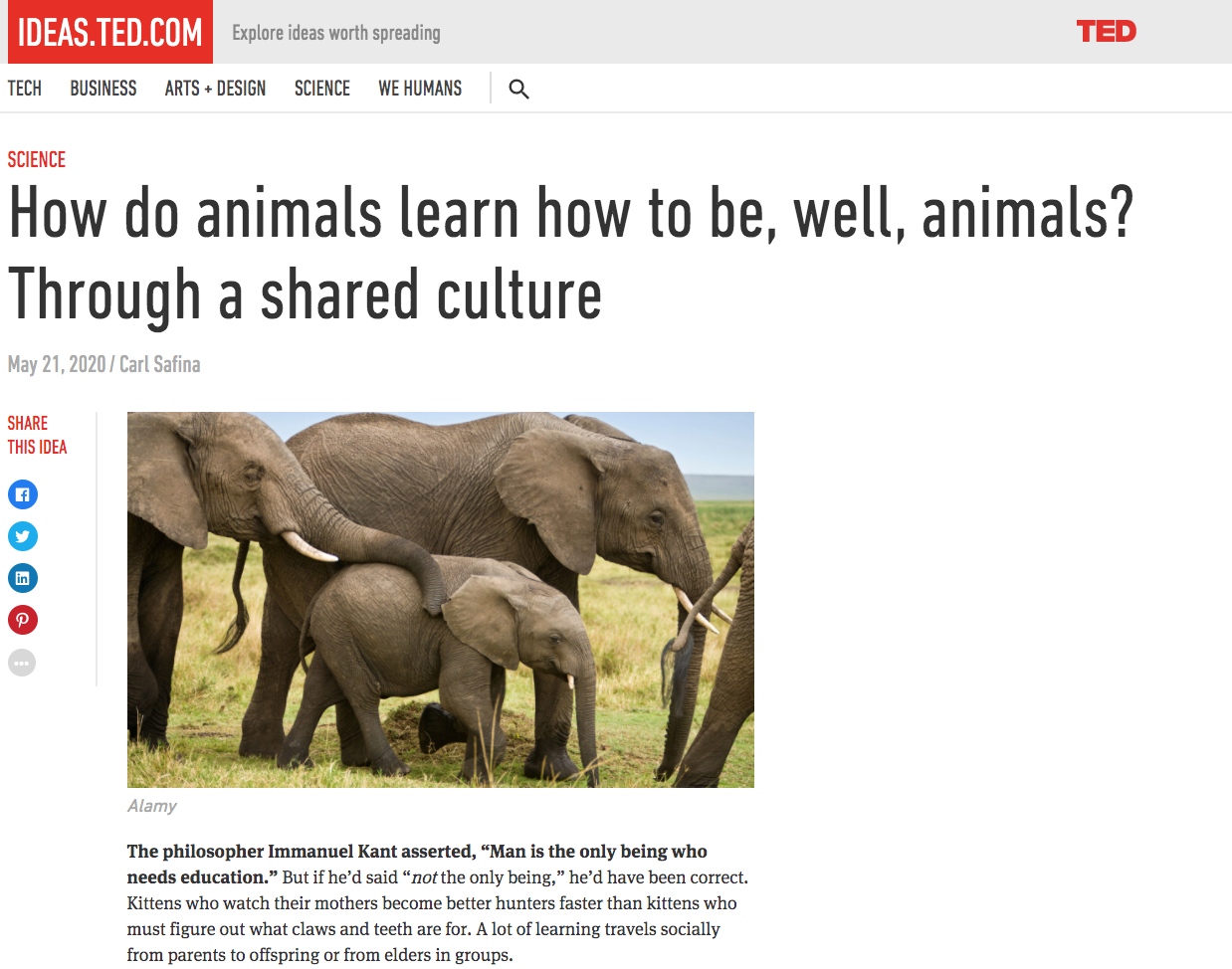 Screen Shot 2020-05-23 at 9.43.57 AM.png