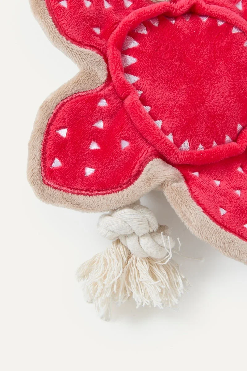 stranger-things-x-maxbone-demogorgon-plush-toy-6494117_1000x.jpg
