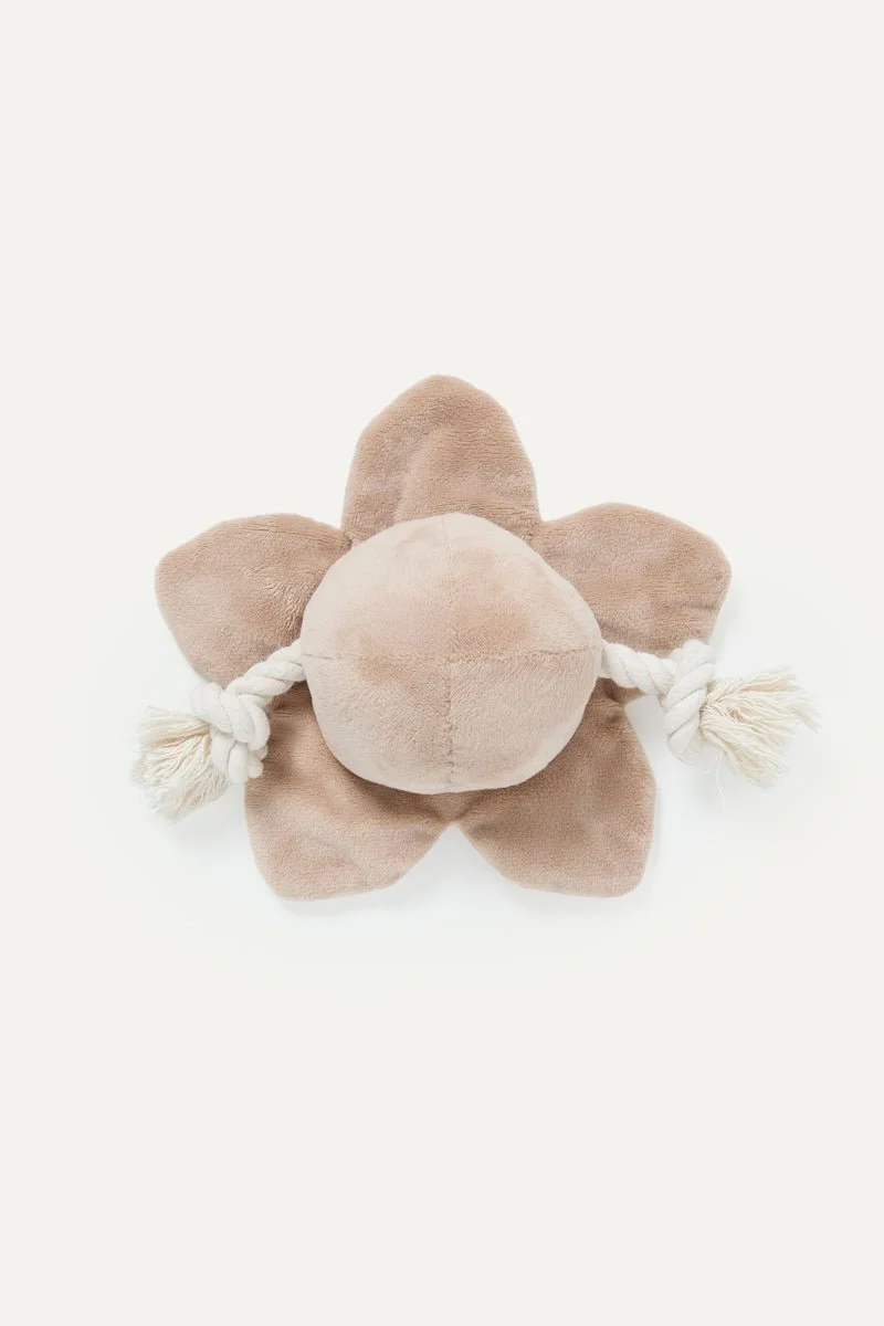 stranger-things-x-maxbone-demogorgon-plush-toy-5724344_1000x.jpg