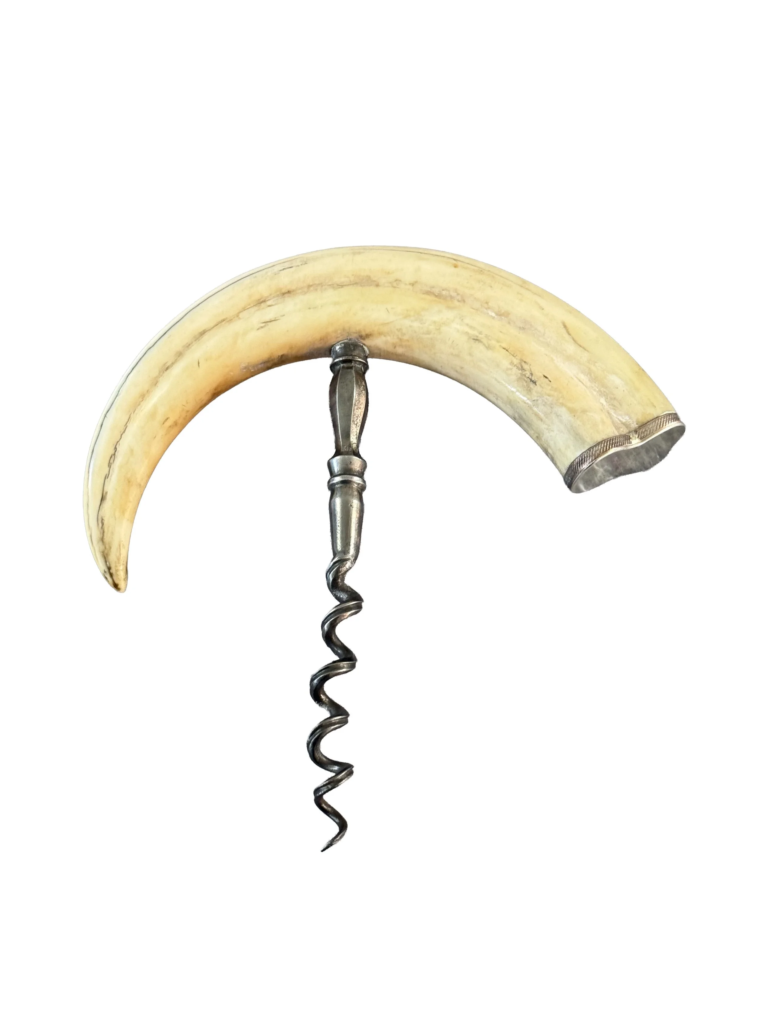 Late 19th Century Victorian Continental Boar Tusk and Silver Corkscrew